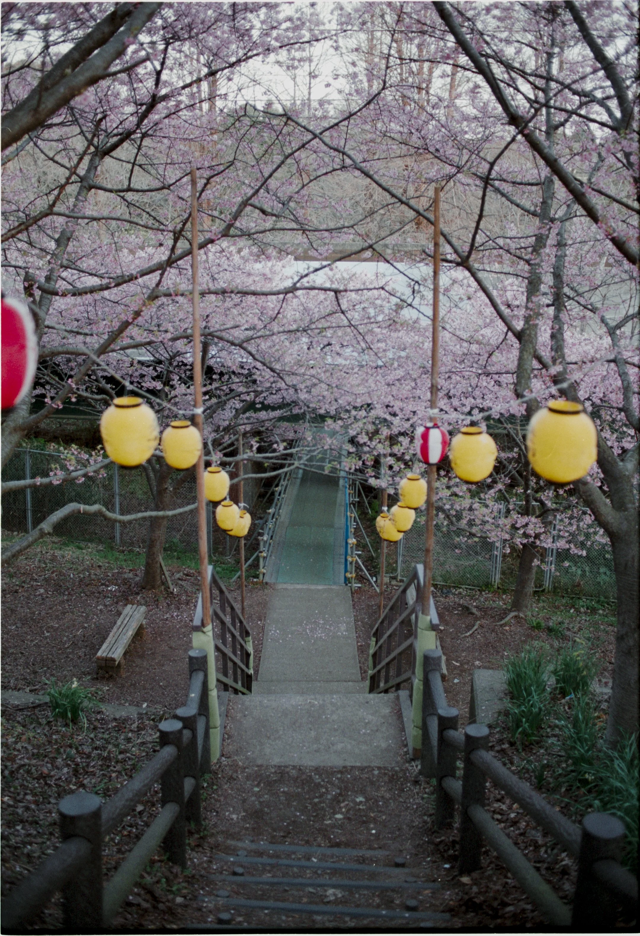 February 2026
Fujifilm Superia Premium 400
Nikon F2