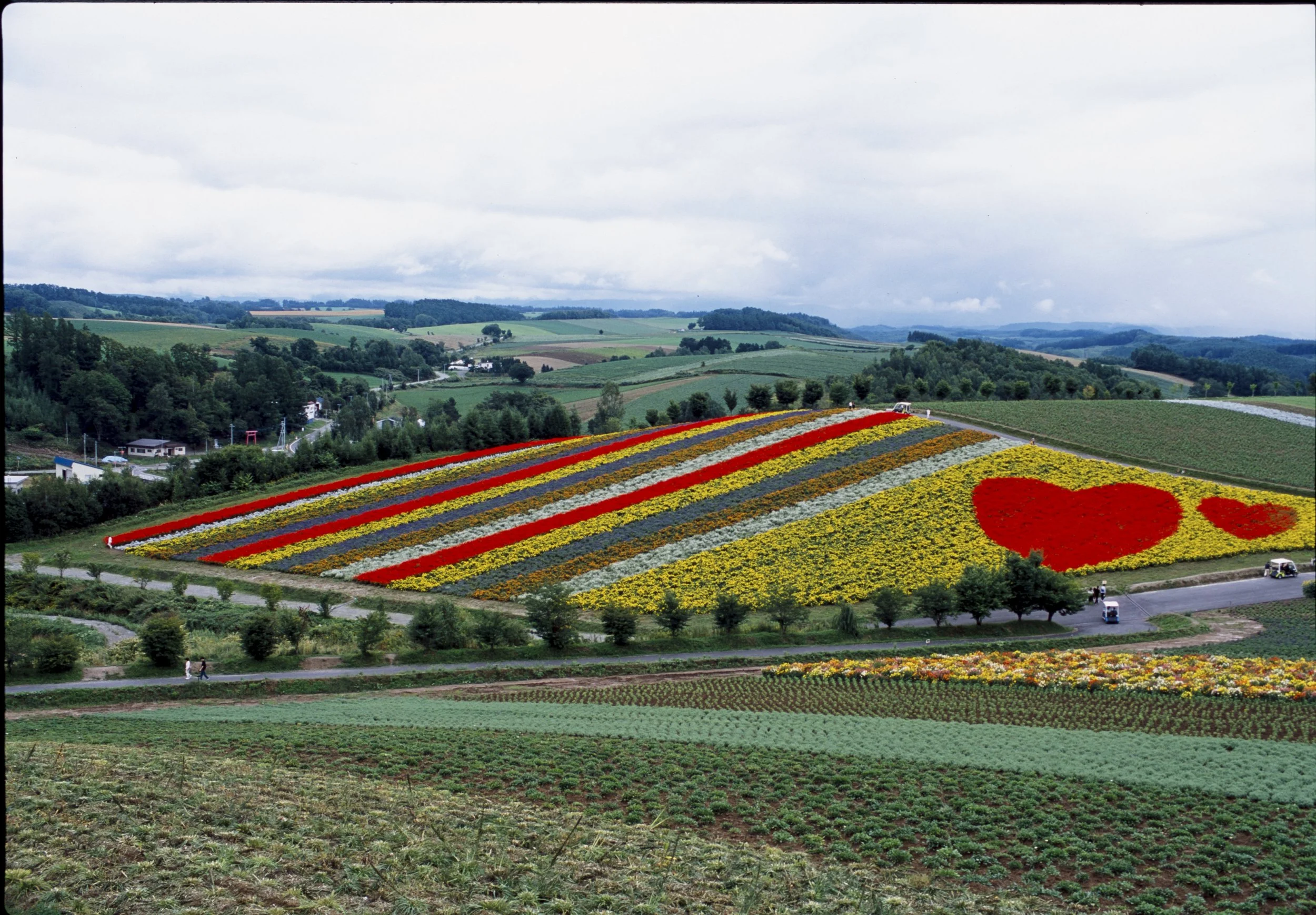 August 2025
Fujifilm Provia 100
Nikon F2