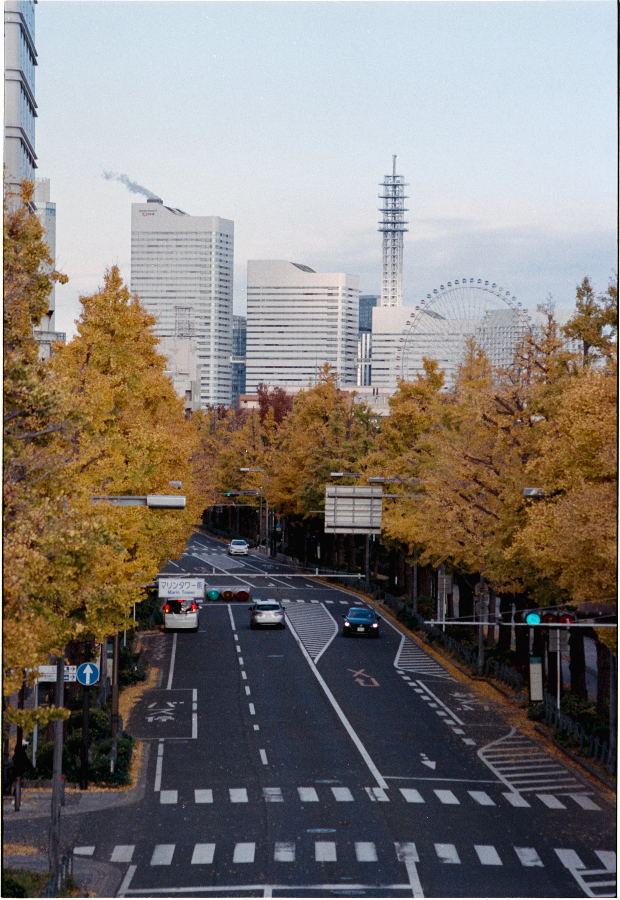 November 2025
Kodak Portra 400
Nikon F3