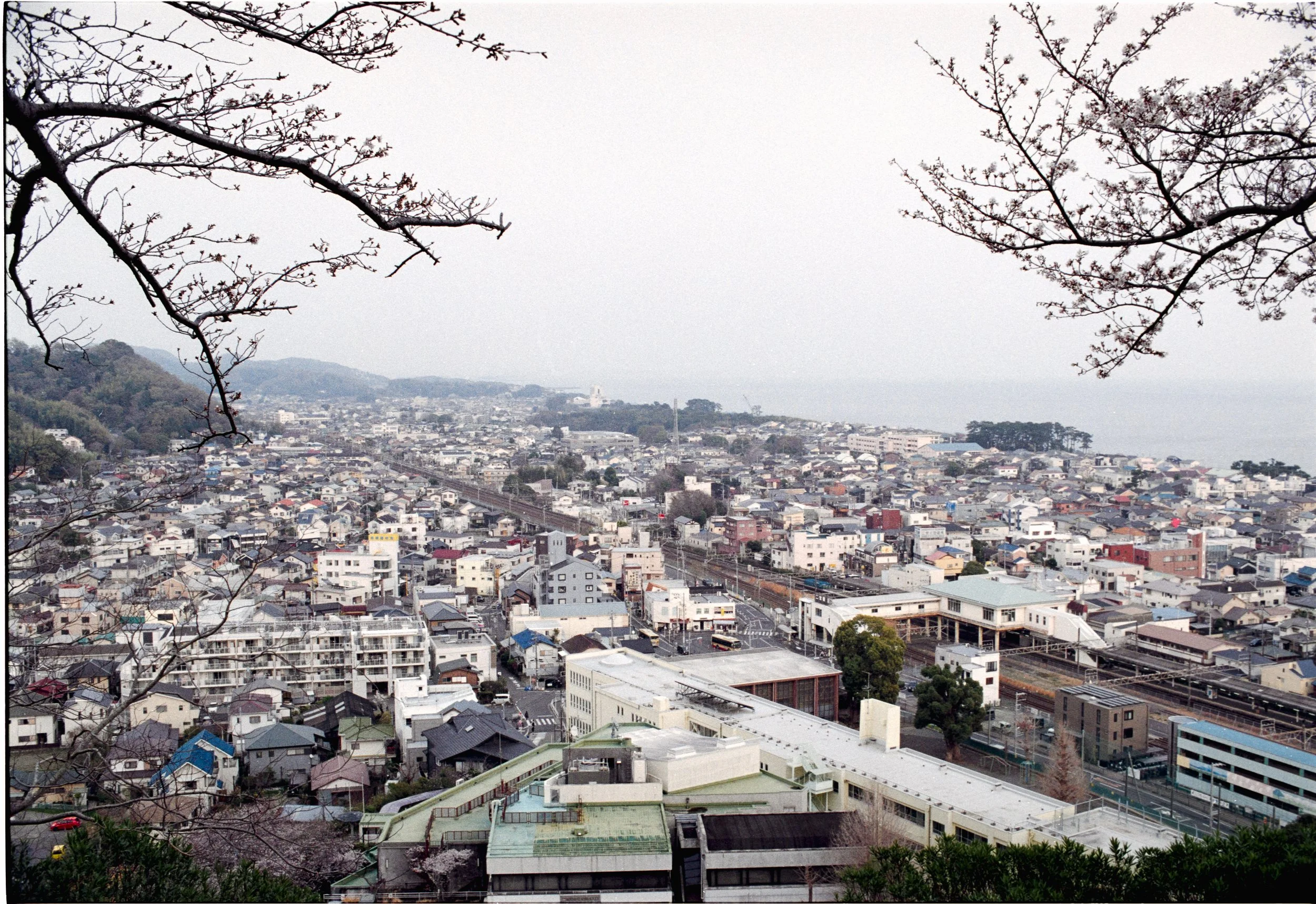 March 2026
Kodak Kodacolor 100
Nikon F3