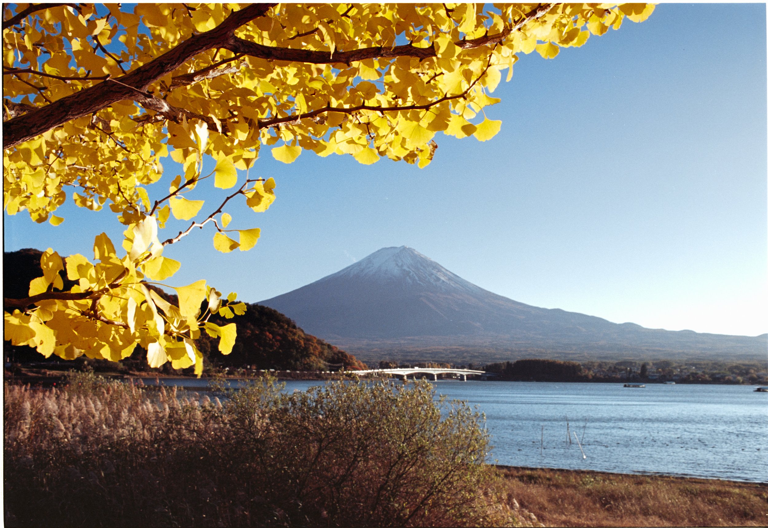 November 2025
Kodak Ektar 100
Nikon F3