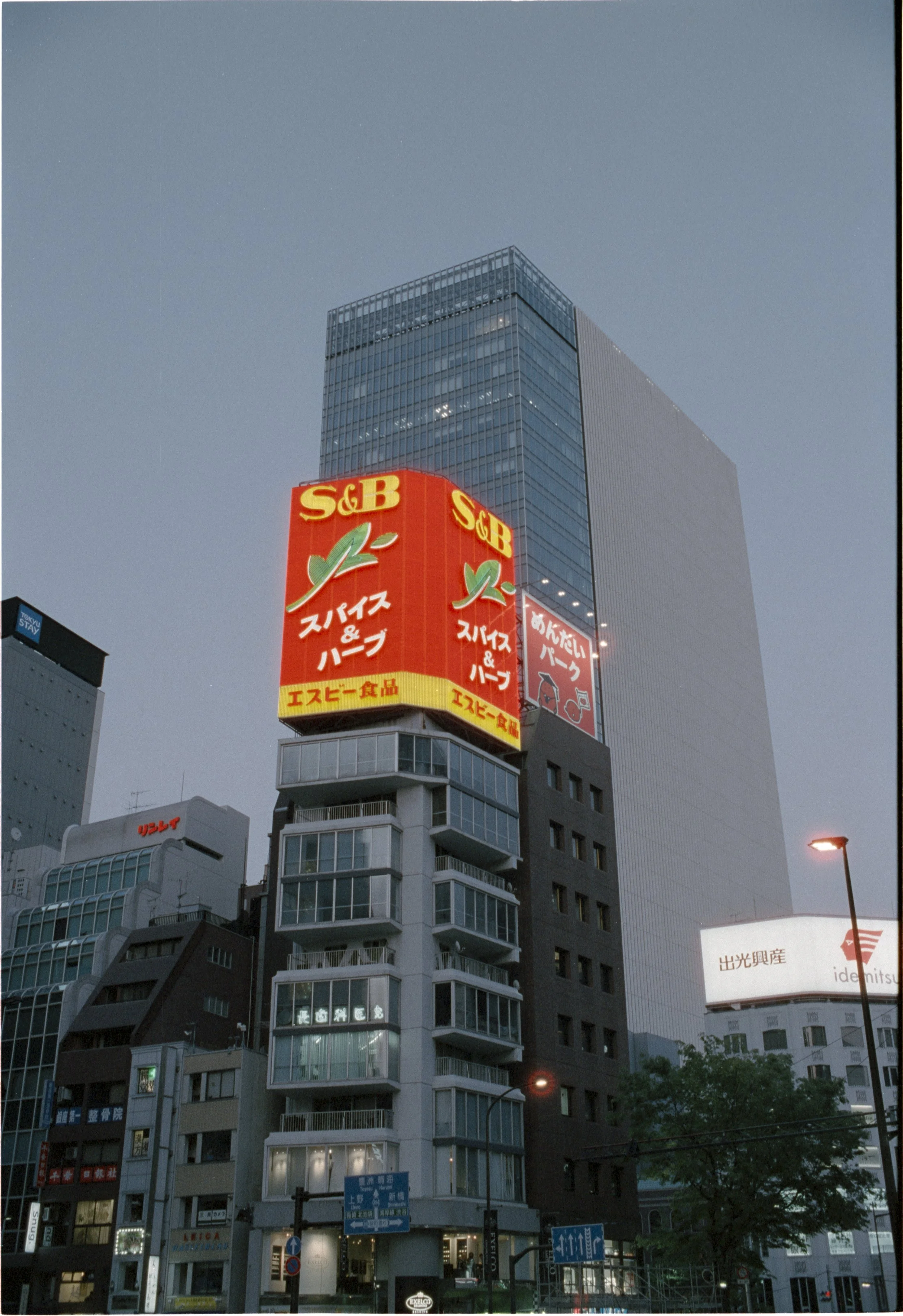 April 2025
Cinestill 800T
Nikon F3