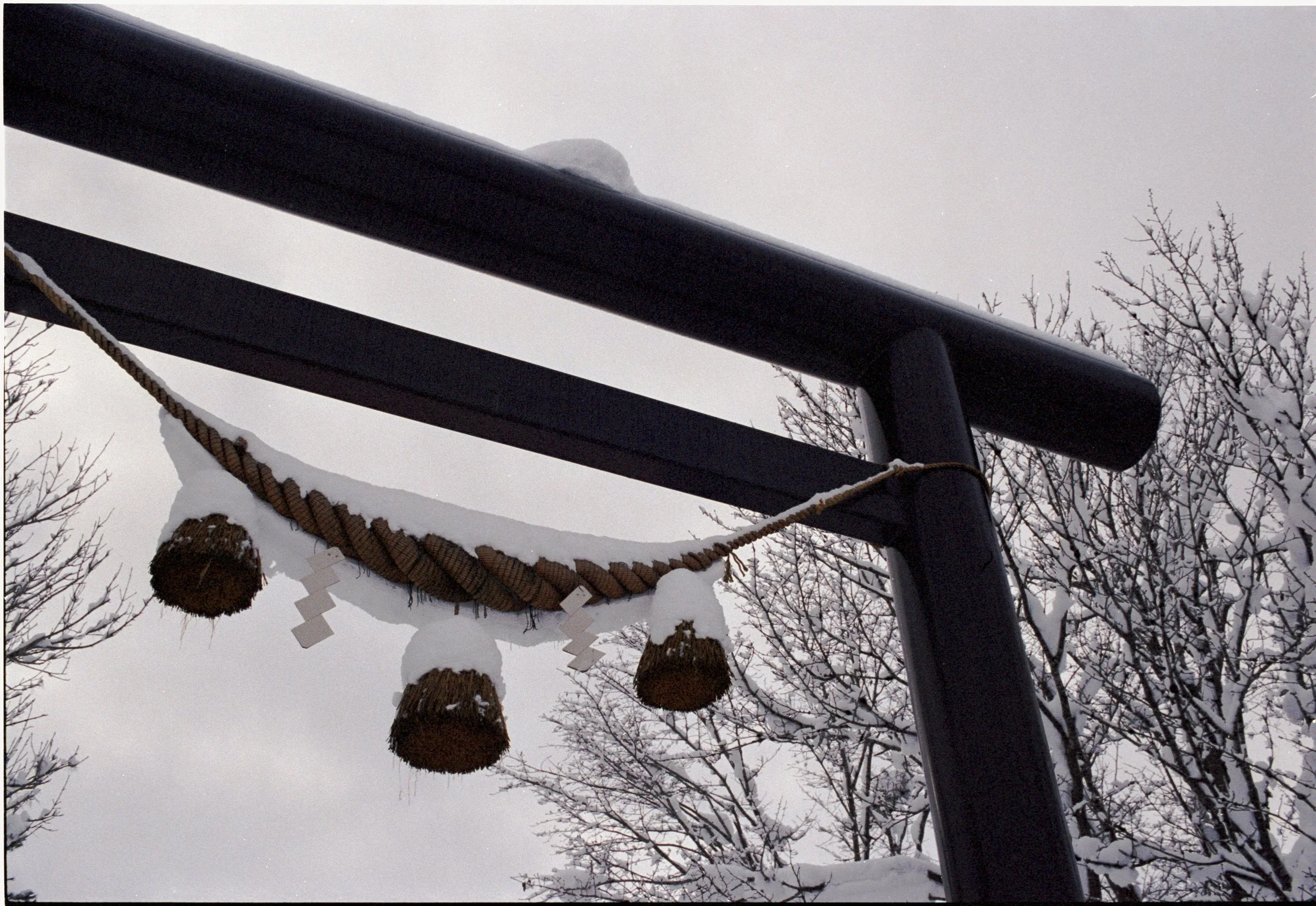 January 2026
Kodak Portra 400
Nikon F3