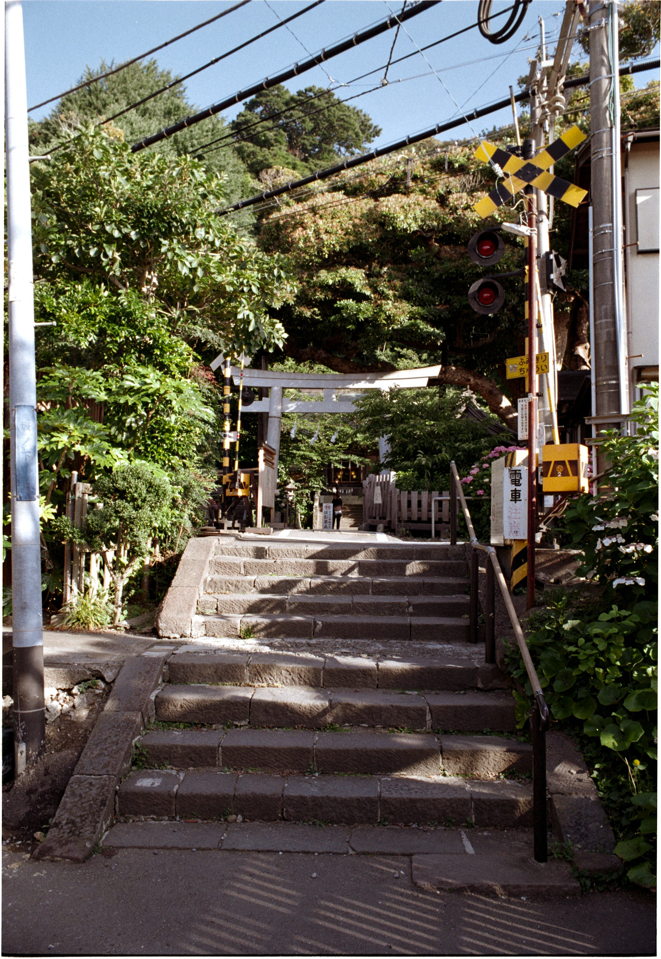 June 2025
Kodak Gold 200
Nikon F3