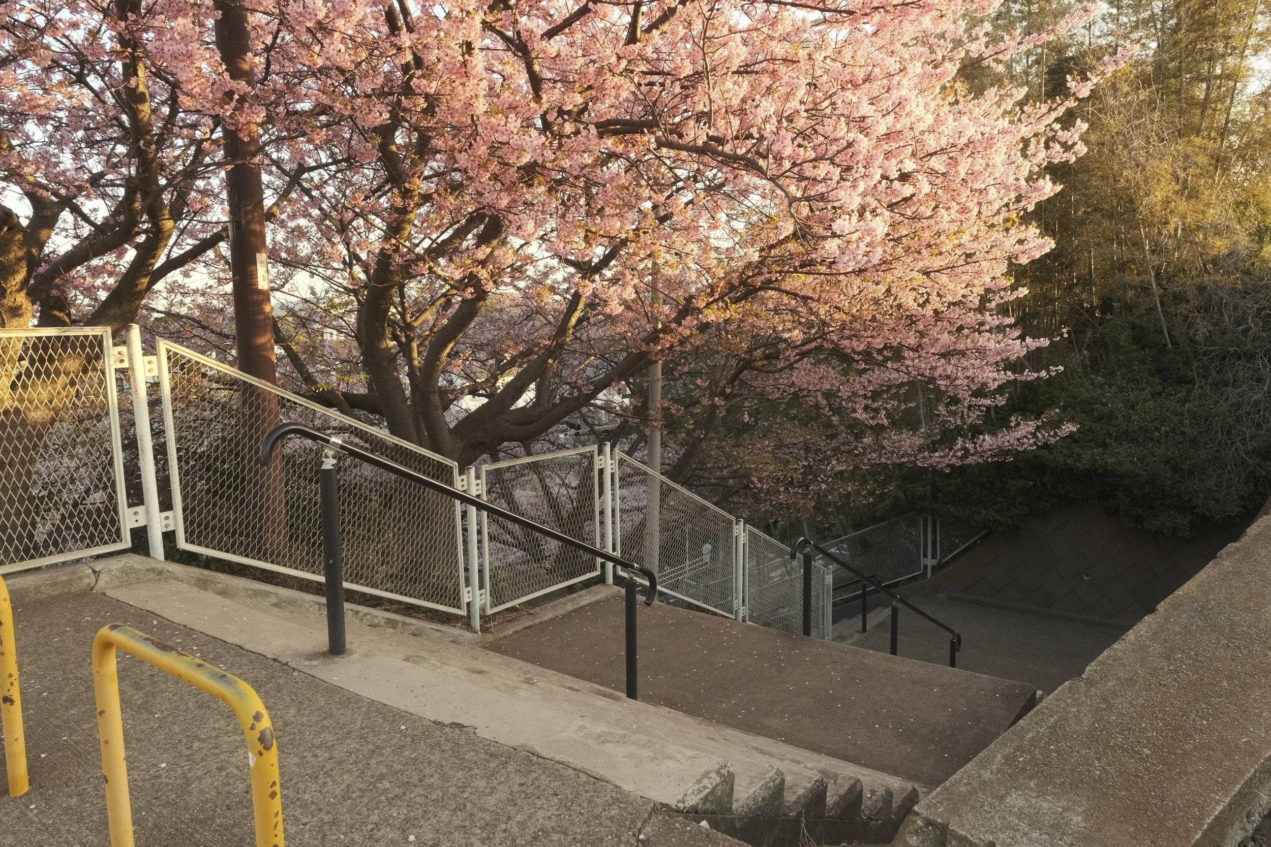 February 2026

Fujifilm X-T5

XF 16-50mm F2.8-4.8 R LM WR