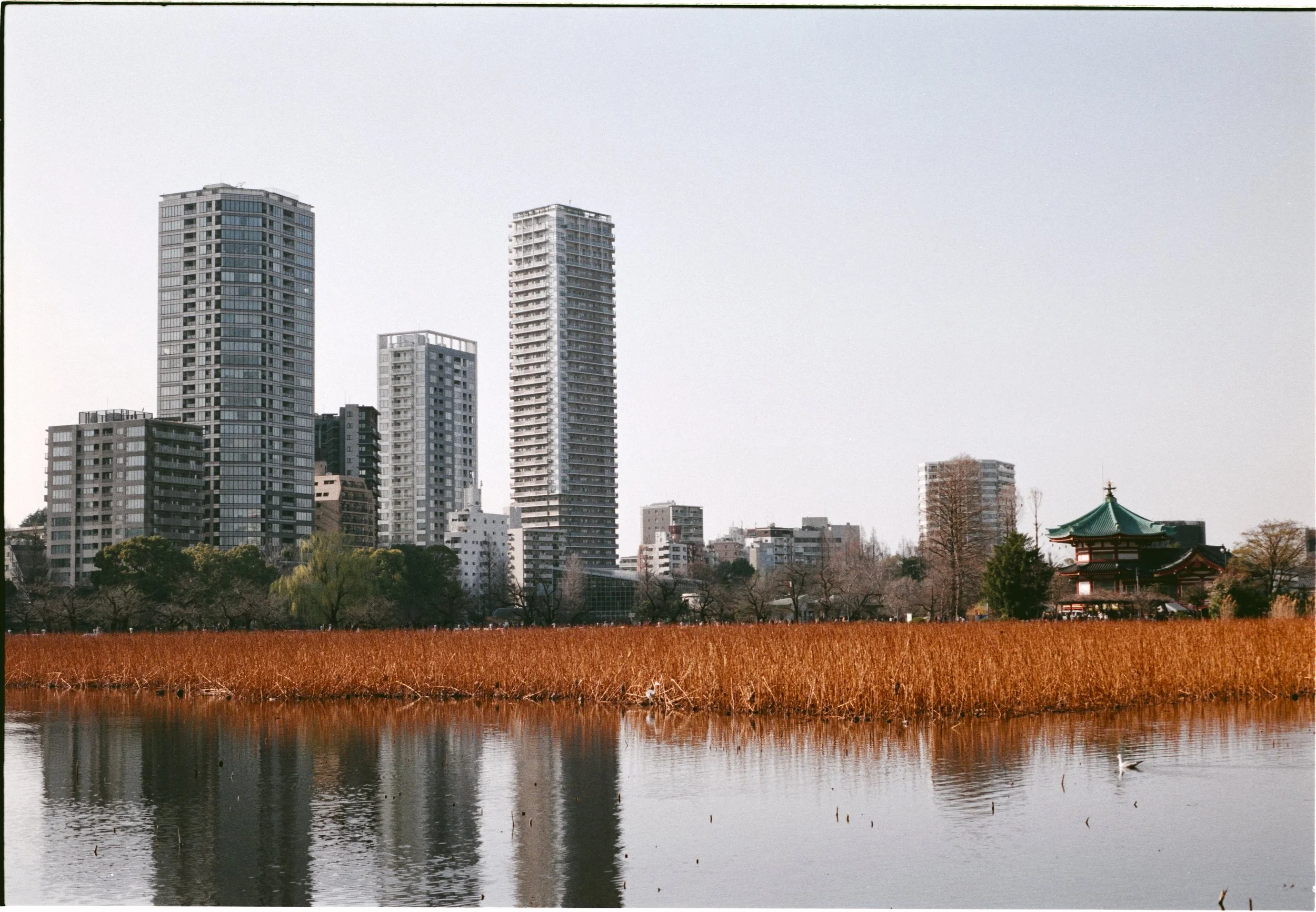 March 2026
Fujifilm Fujicolor 100
Nikon F3