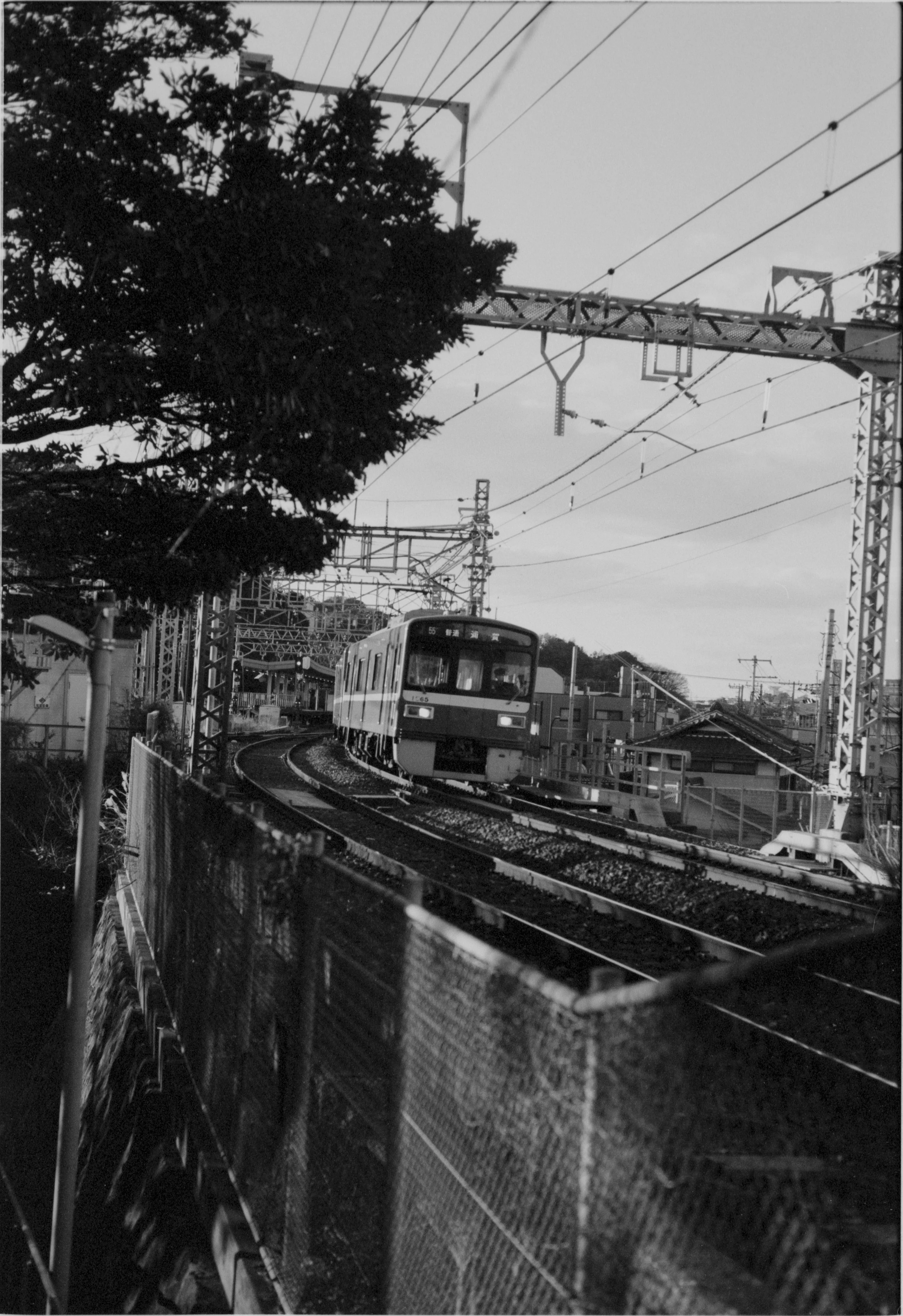 March 2025
JCH Pan 400
Nikon F2