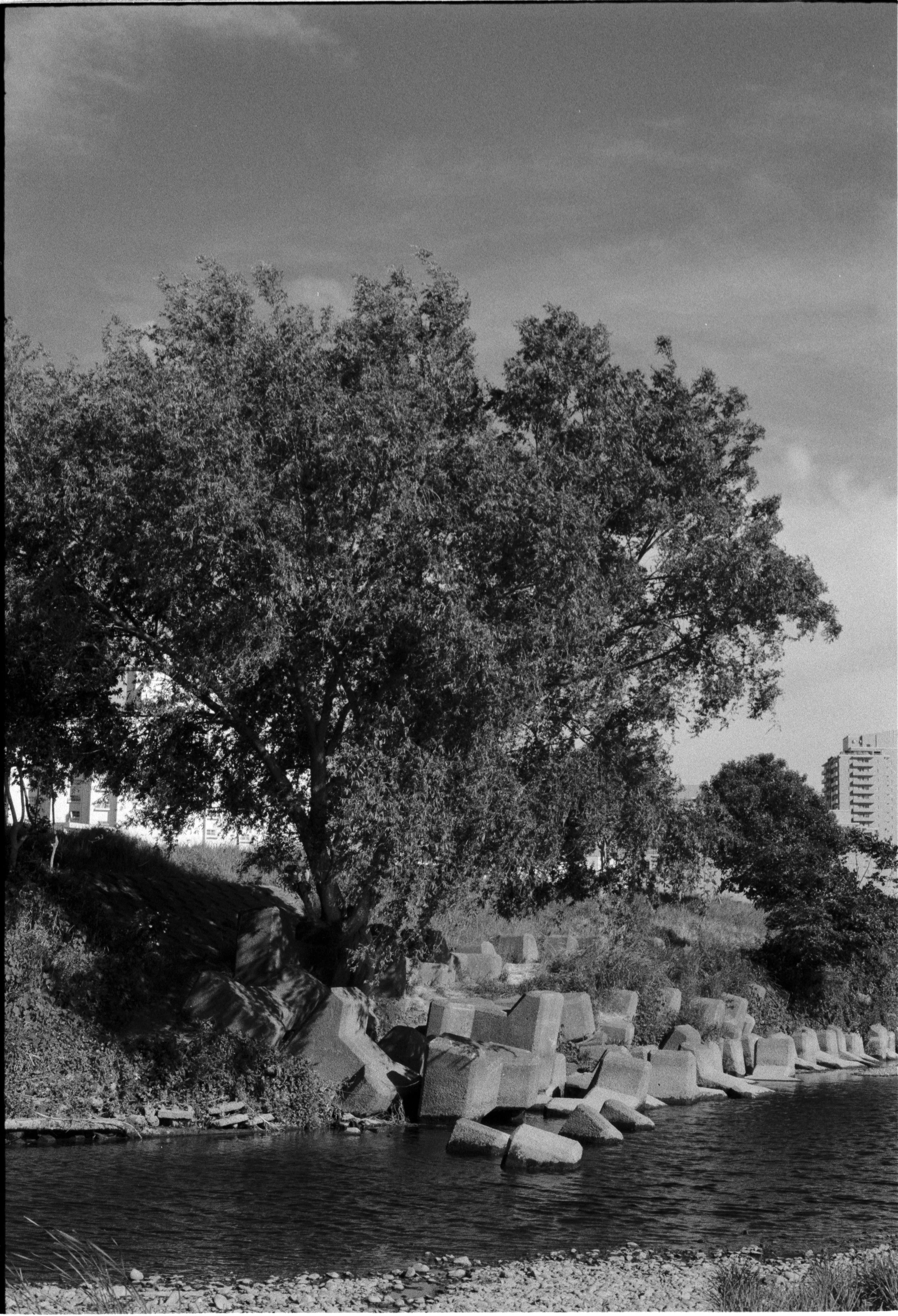 May 2026,
Ilford Delta 400,
Nikon F