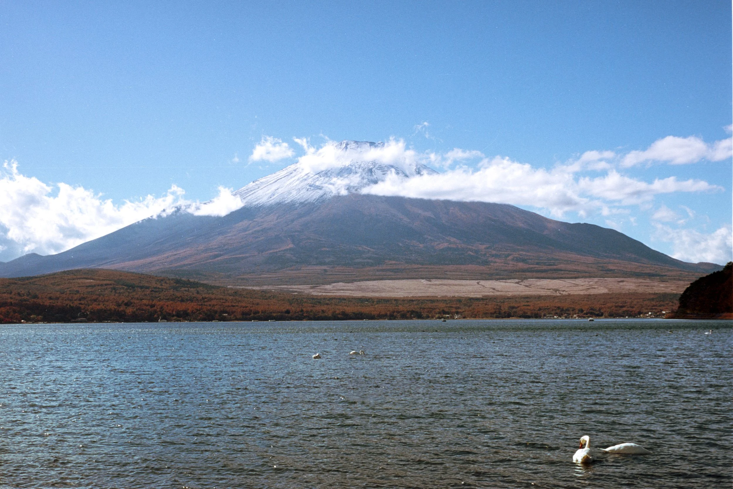 November 2025
Kodak Ektar 100
Nikon F3