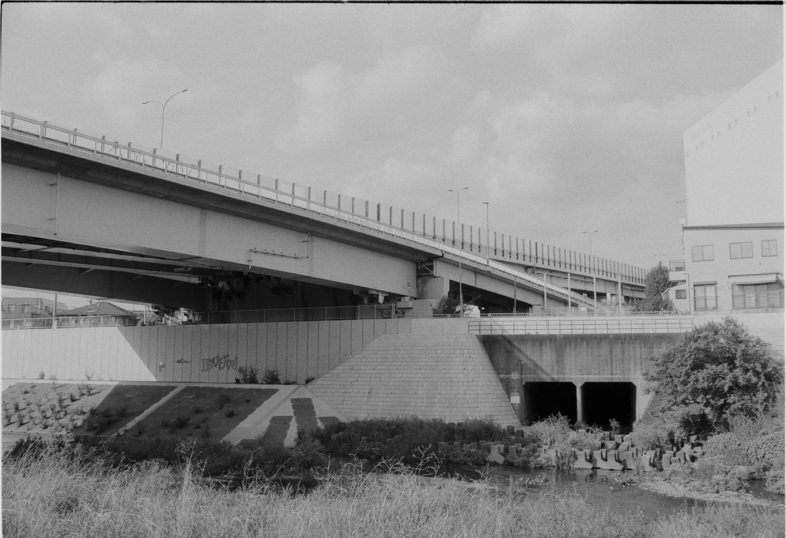 April 2026,
Kentmere 400, 
Nikon FM3A