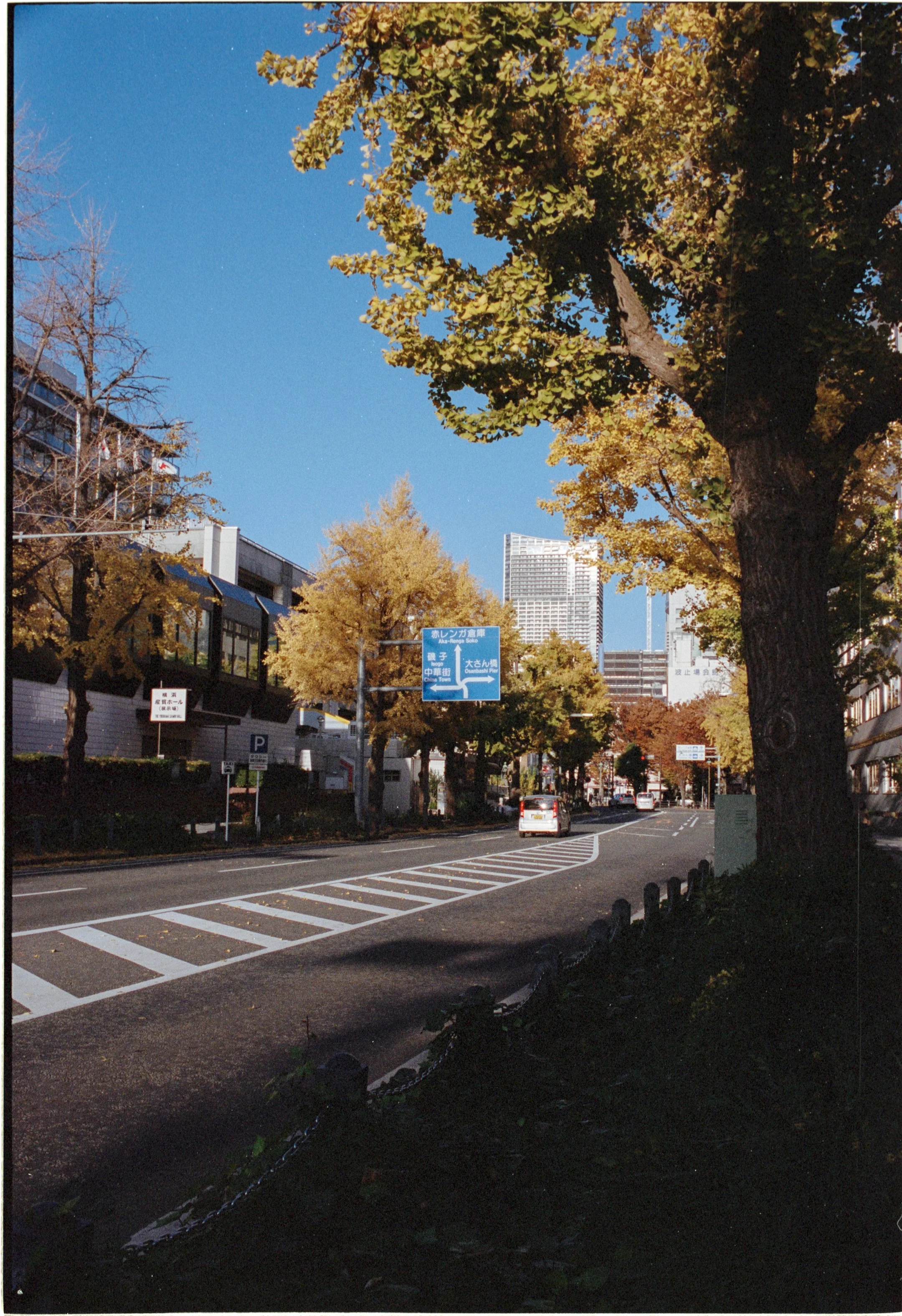 November 2025
Kodak Portra 400
Nikon F3