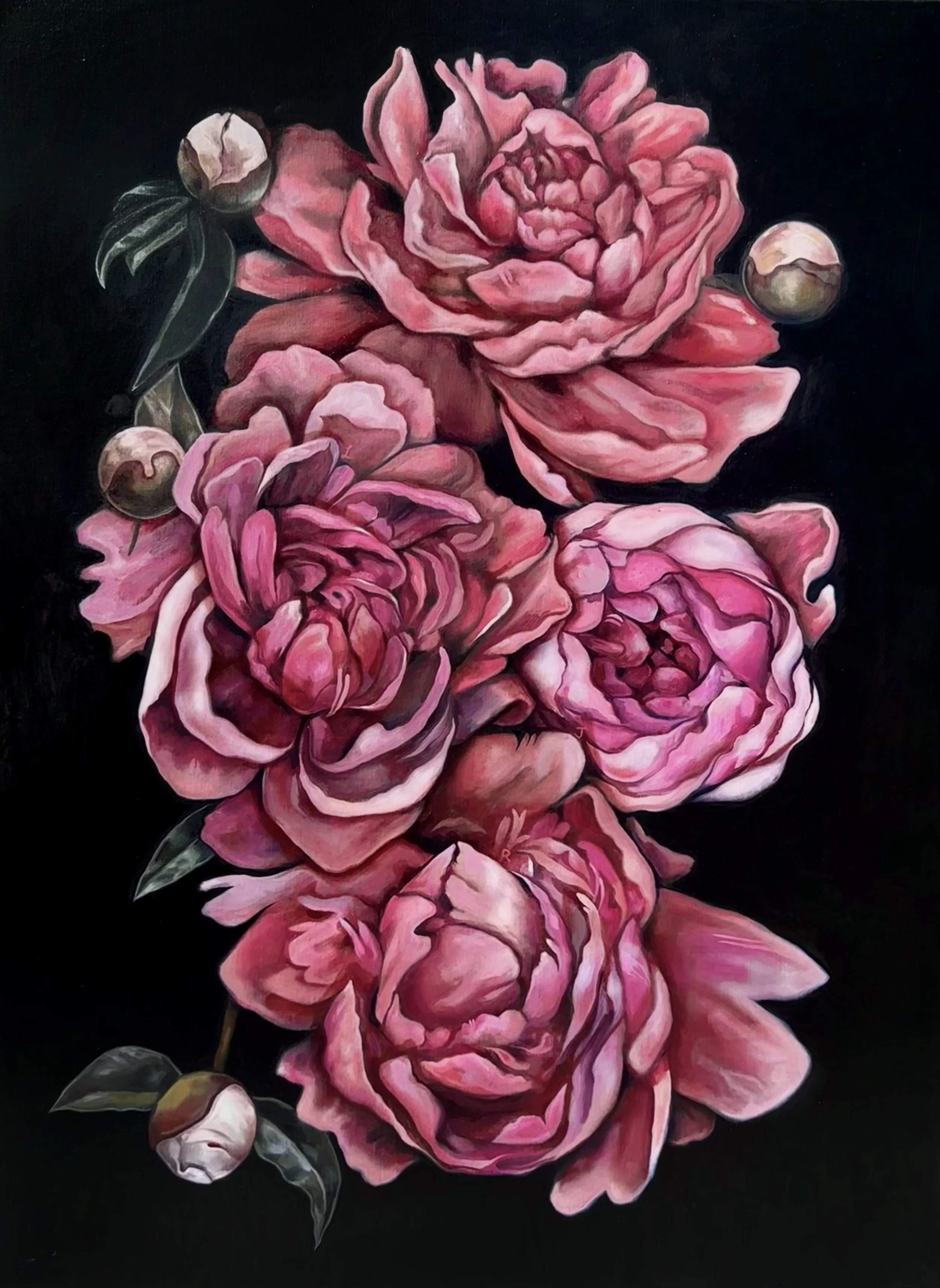 Peonies, Oil on linen, 2024