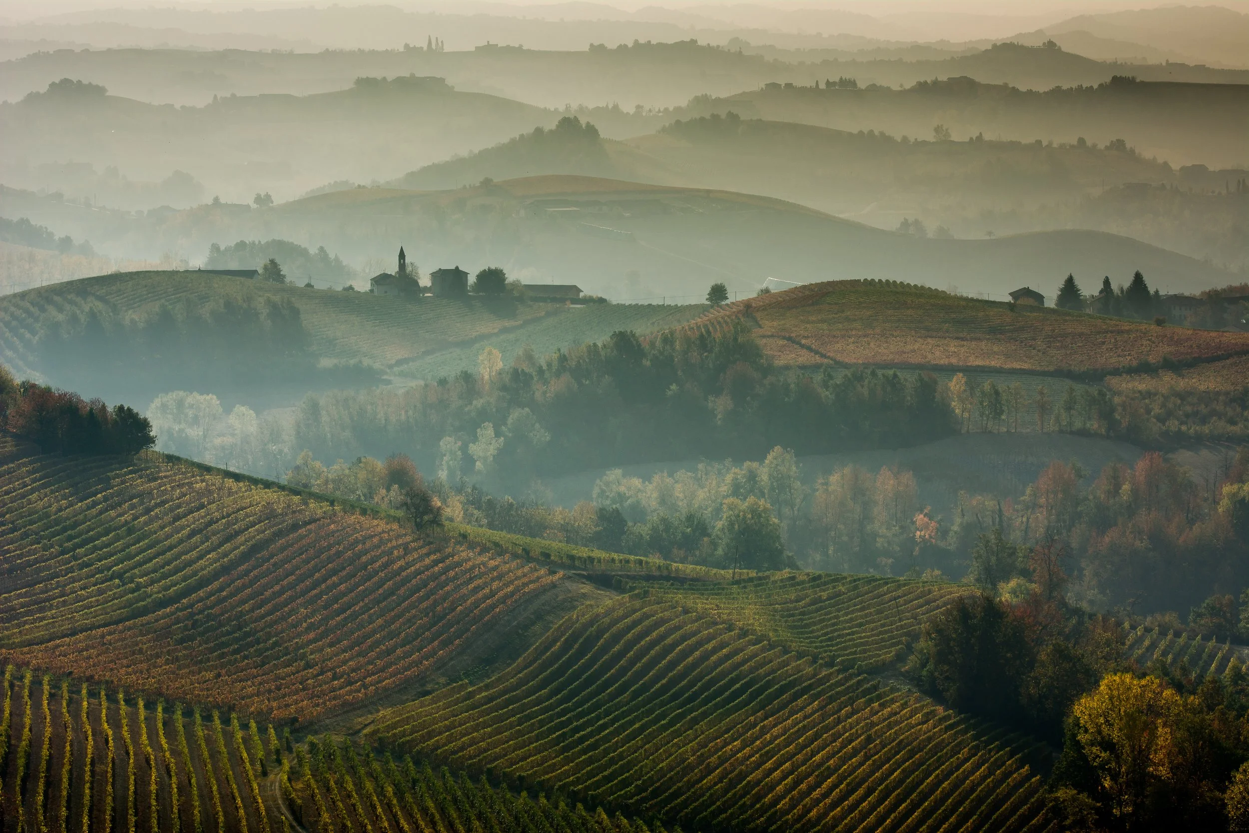 The Architecture of the Invisible