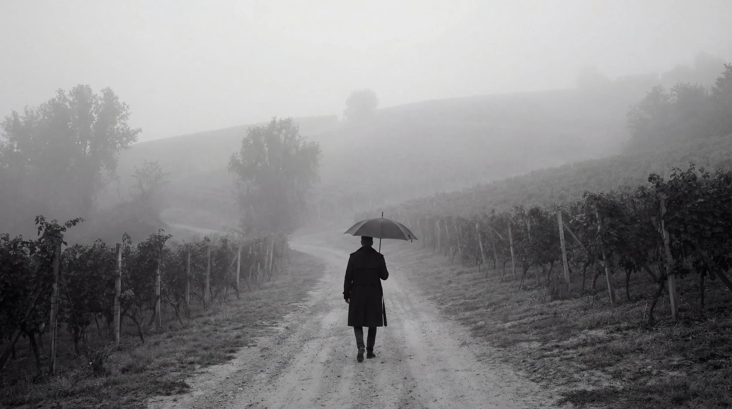 A Bloodline in the Mist