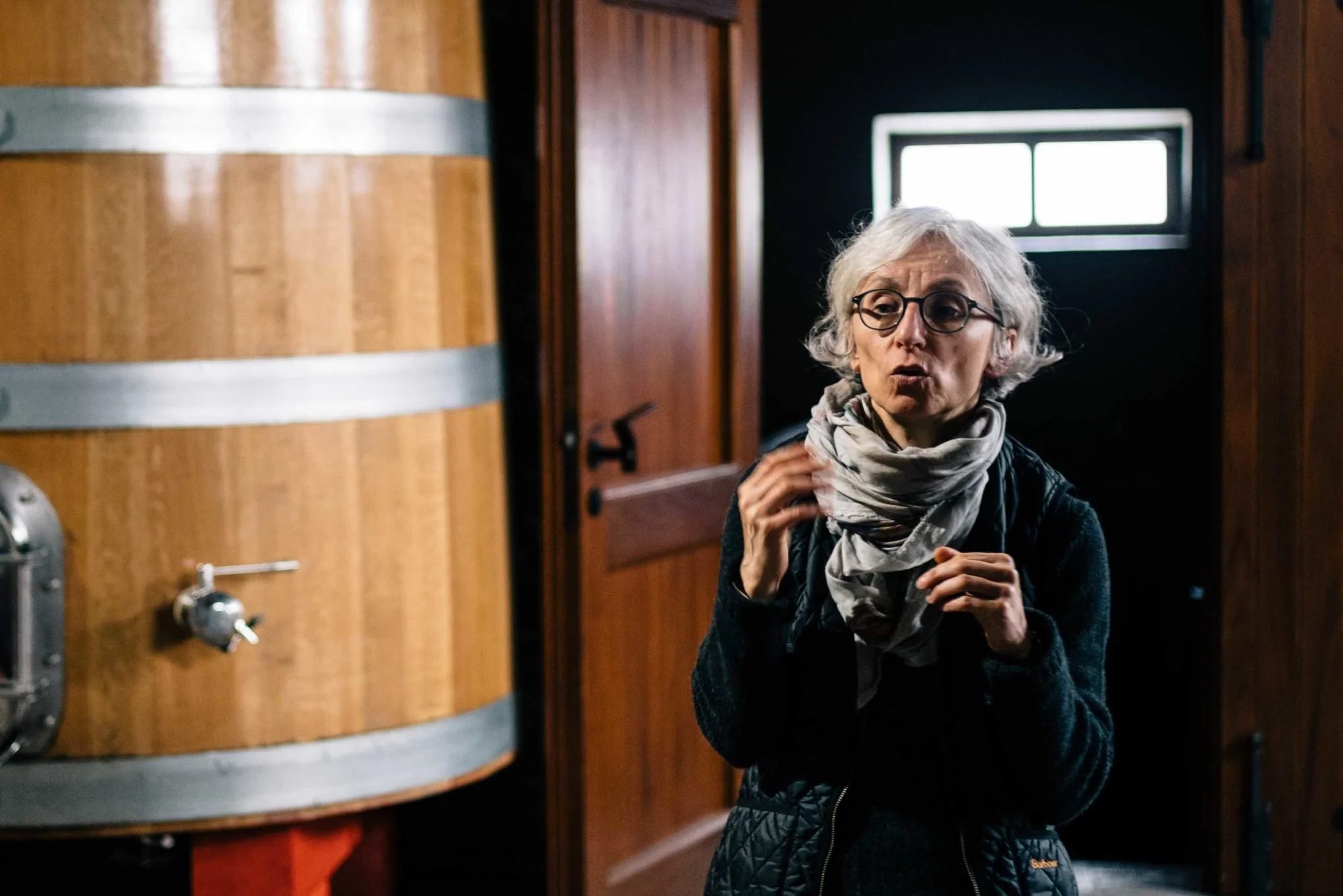 The Geometry of the Tini