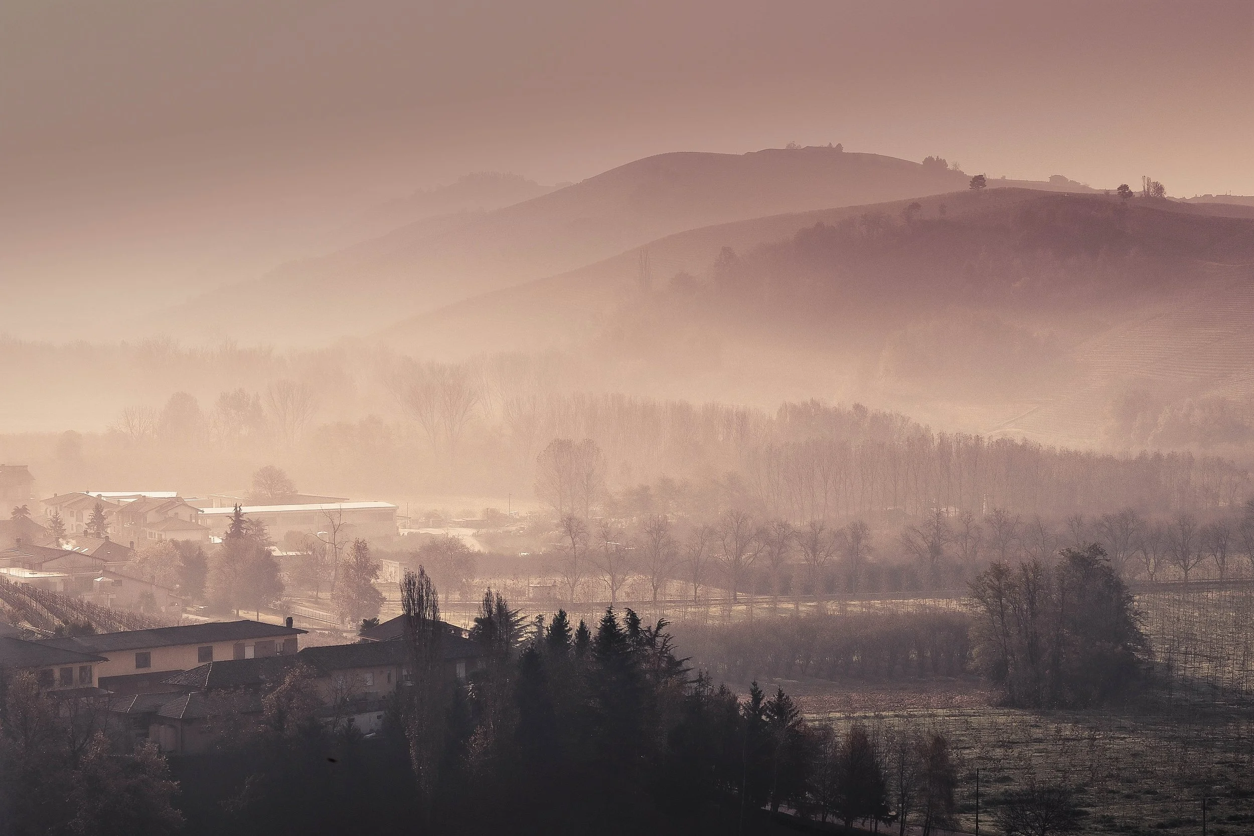 The Silence of the Fog