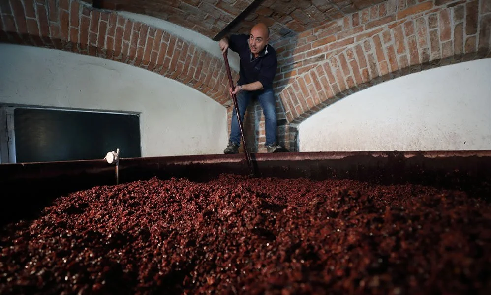 What His Mother Remembered