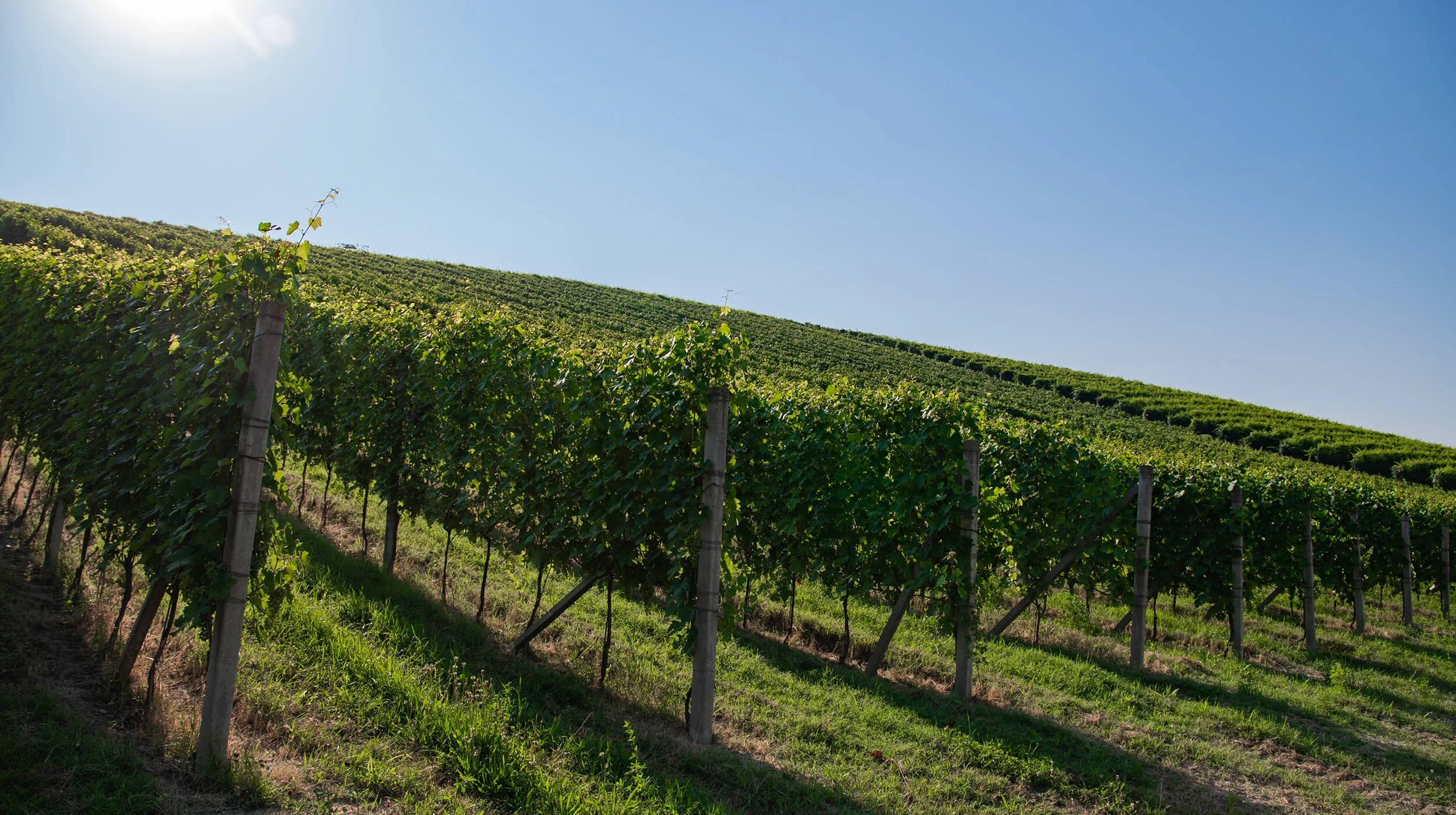 The Hill That Doesn't Announce Itself