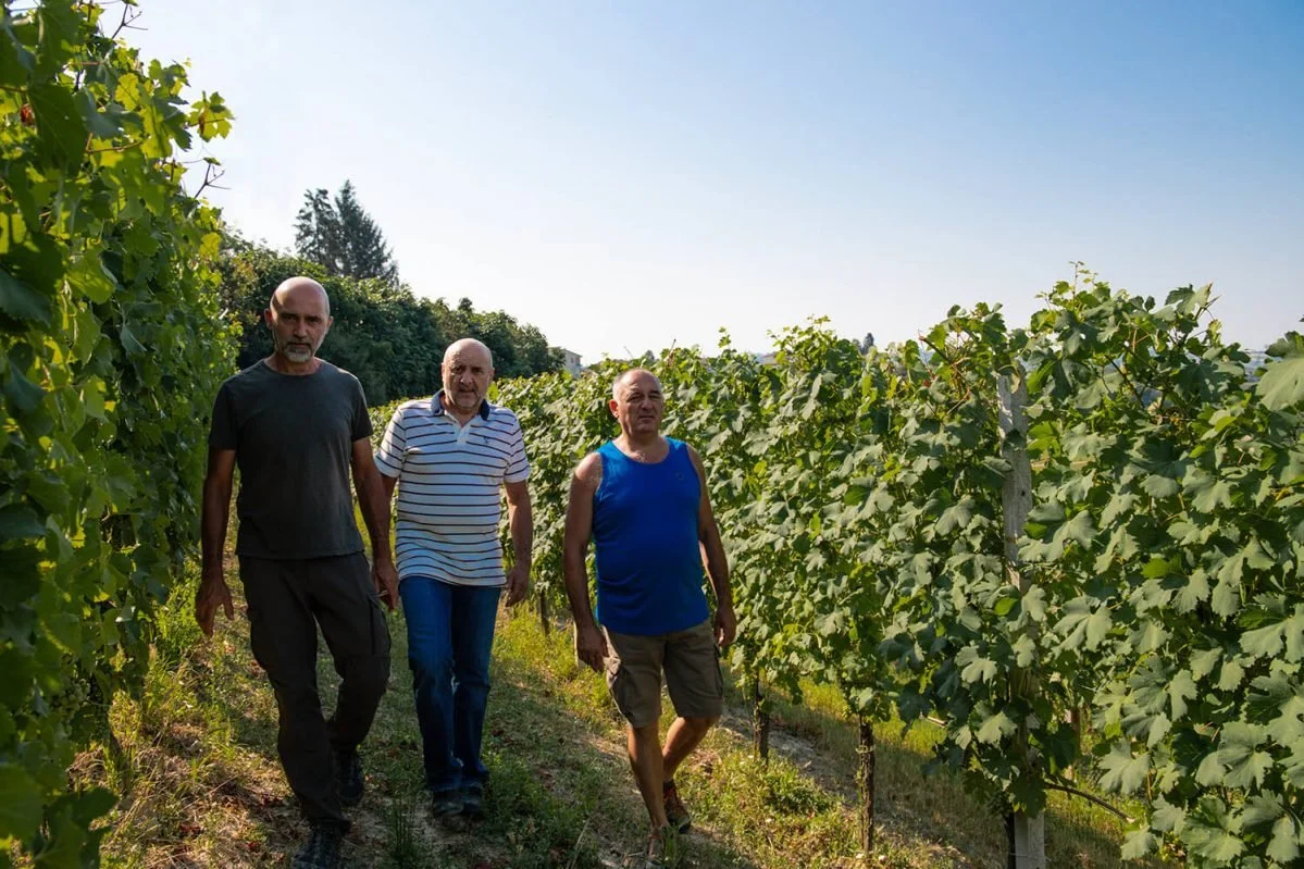 The Vine With No Name