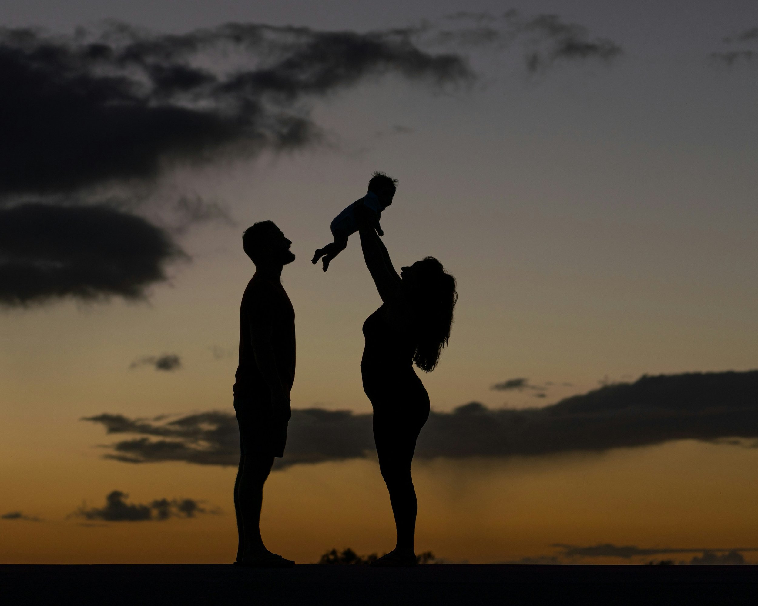Whole Hearted Parenting and The Wheel of Consent®