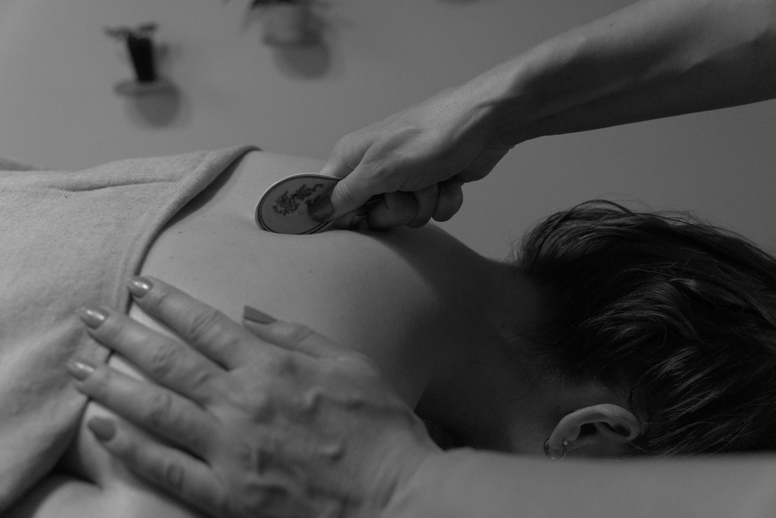 Verschiedene braune und orangefarbene Pilze, darunter Safranschirmlinge, geordnet