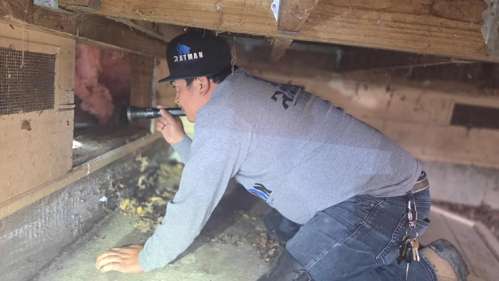 Ratman Pest Control Technicial checks all your spaces for rats, mice and other rodents including attic, sub-areas, roof and crawl space.