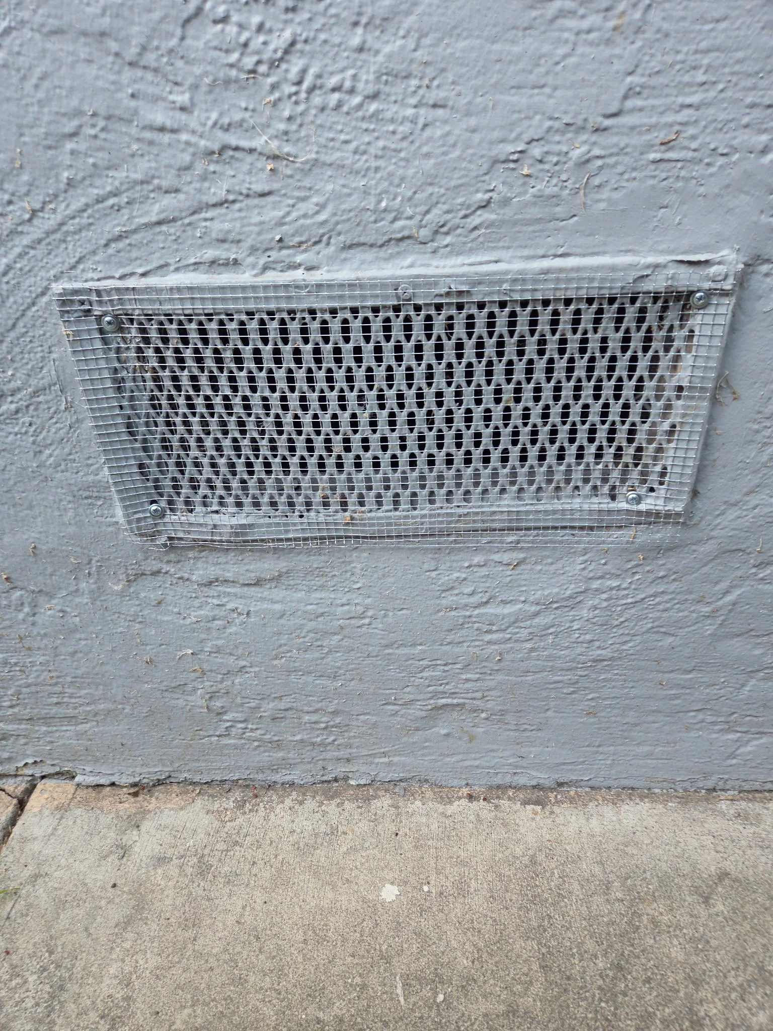 5302792226630275141.jpg