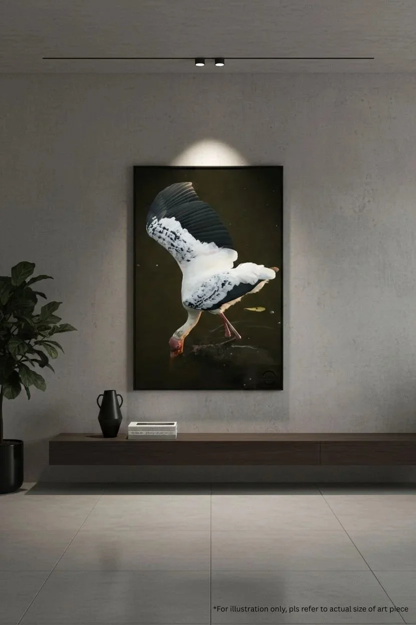 beautiful bird wing wings amazing in room frame