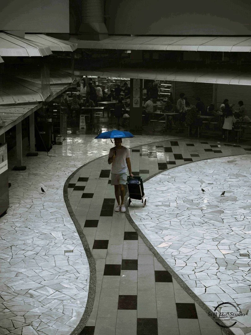 B0000355 (Large).jpg