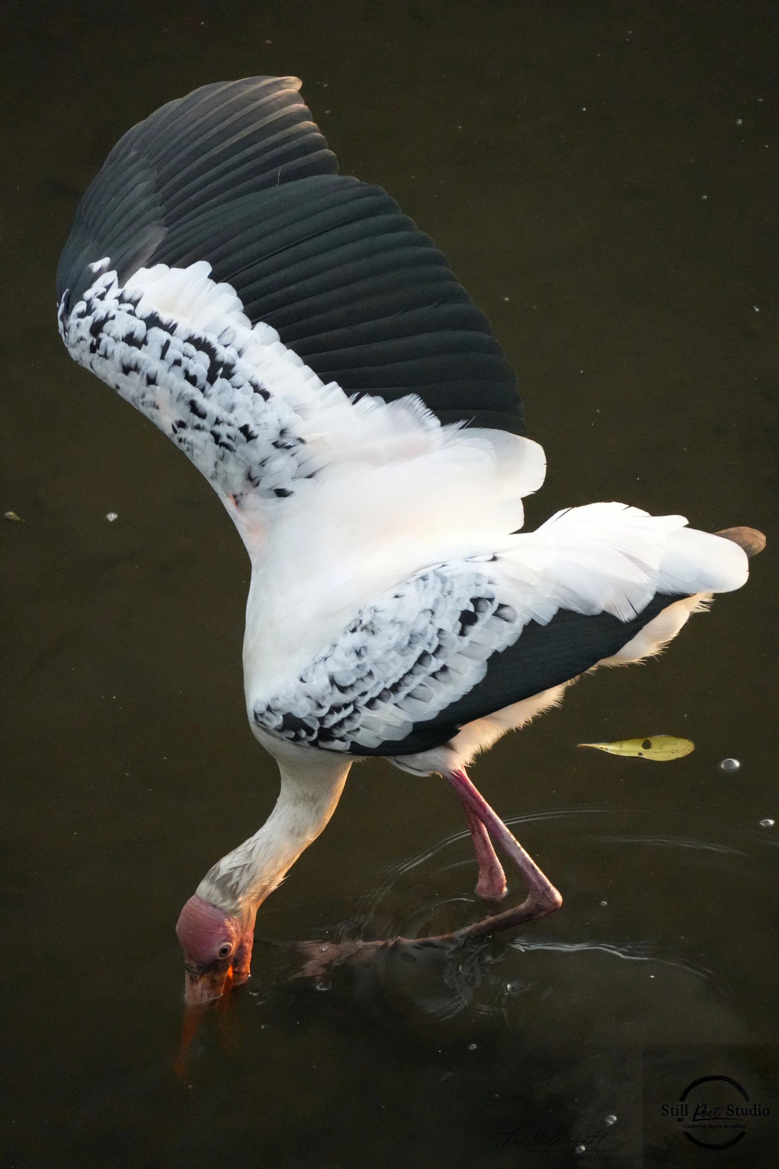 One Wing - Last pieces