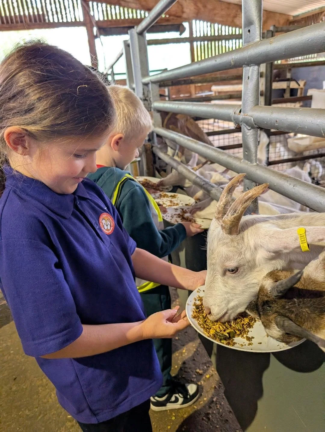 WESSEX WISHES FUNDS TRIP TO LONGDOWN DAIRY ACTIVITY CENTRE (24.09.26)