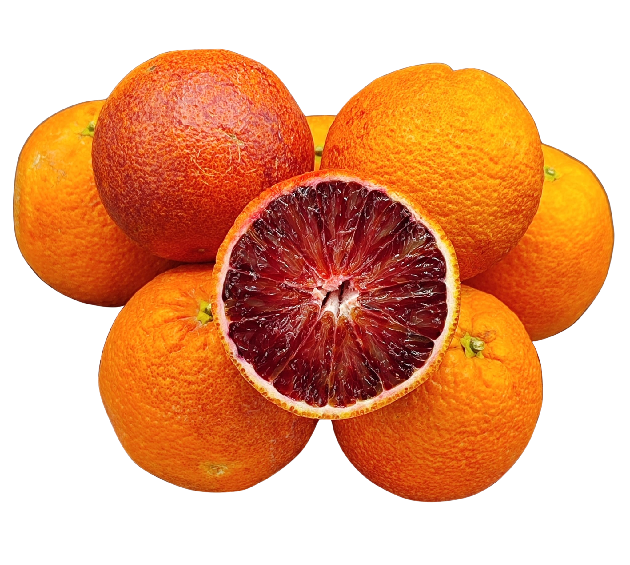 WhatsApp_Image_2026-02-17_at_11.29.452-removebg.png
