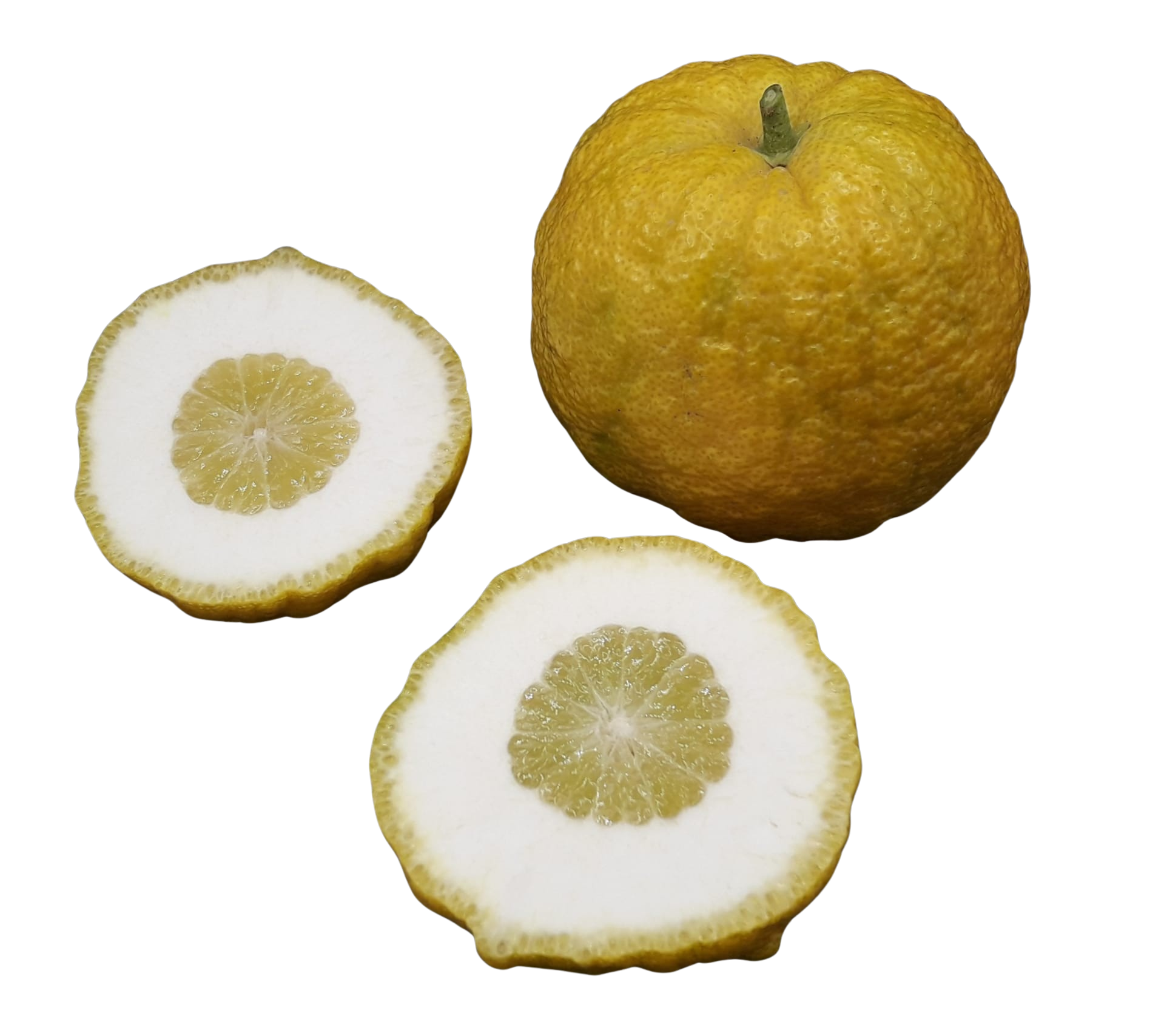 Devil_yuzu-removebg.png