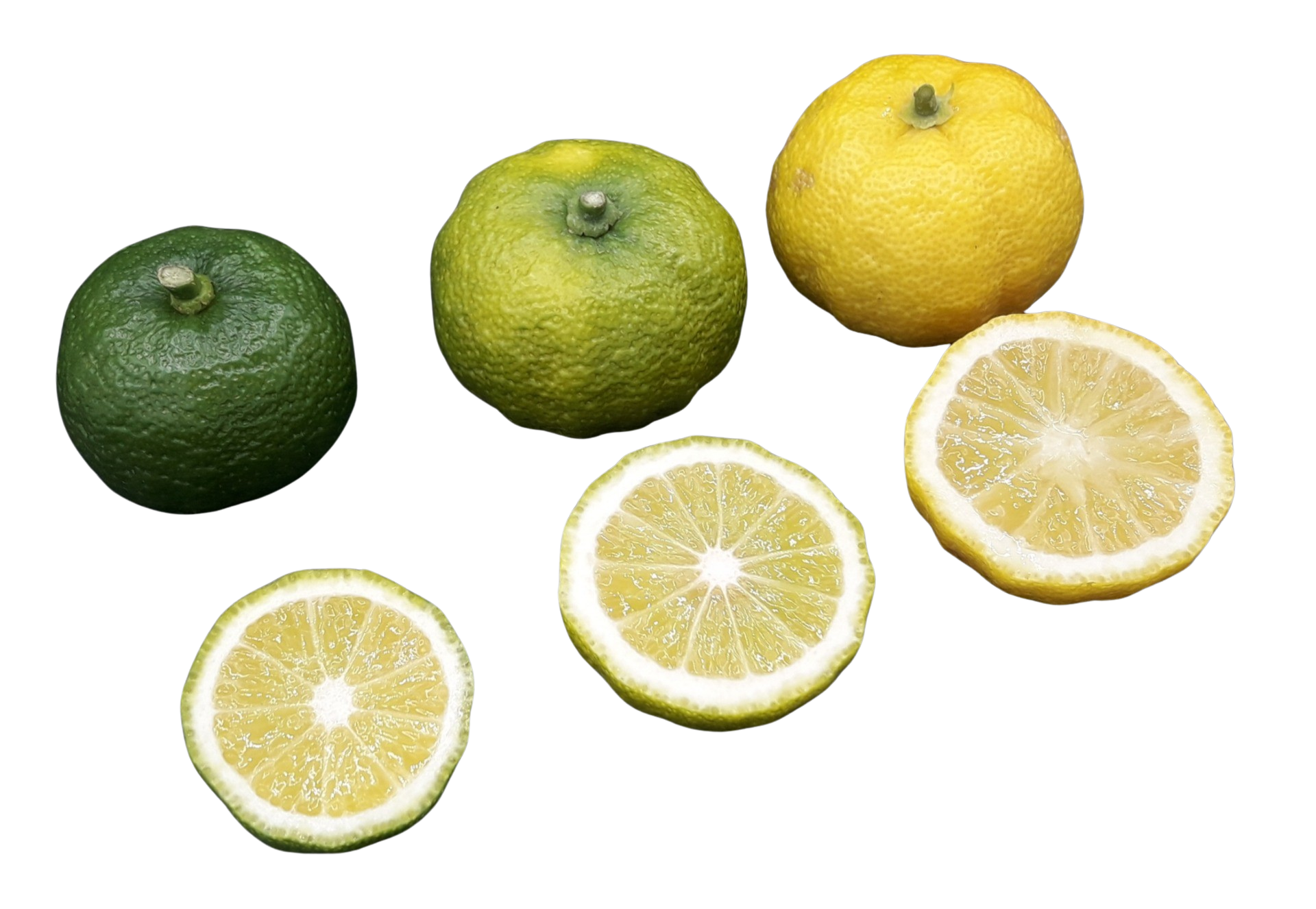 Yuzu_seedless-removebg.png