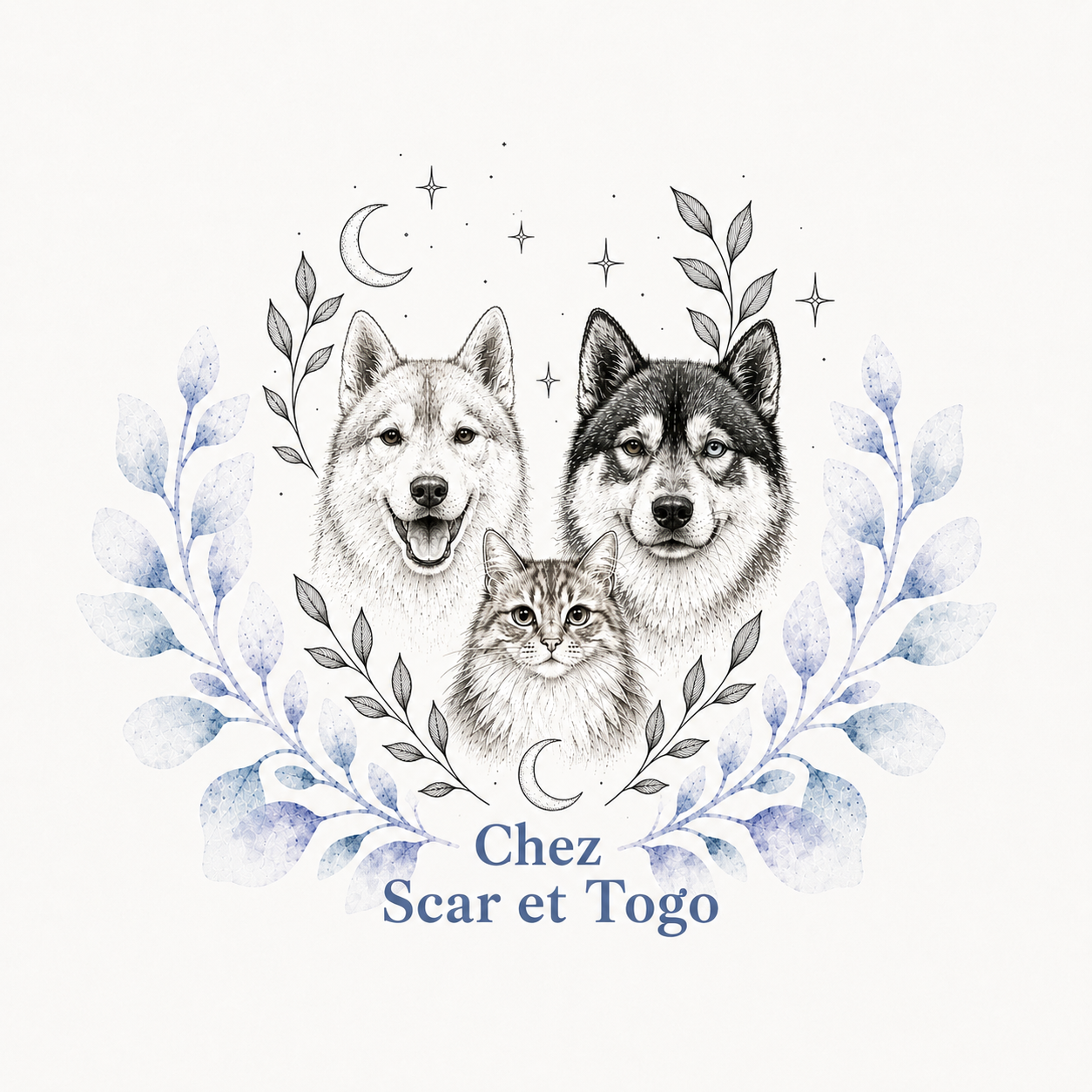 Chez Scar et Togo