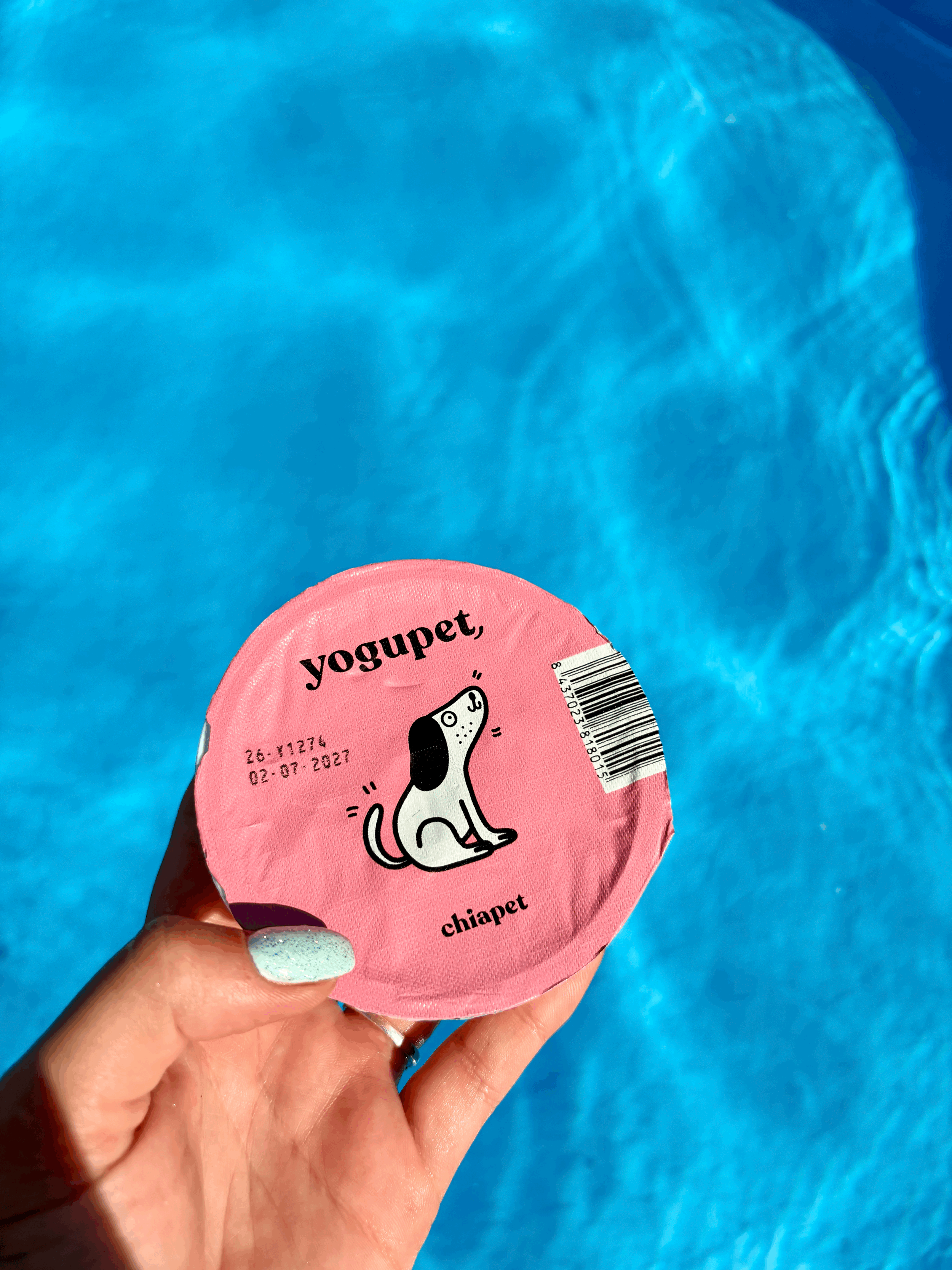 Yaourt pour chien - Yogupet