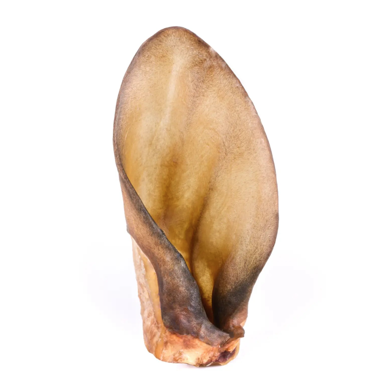 Capture d’écran 2026-04-06 à 13.26.59.png