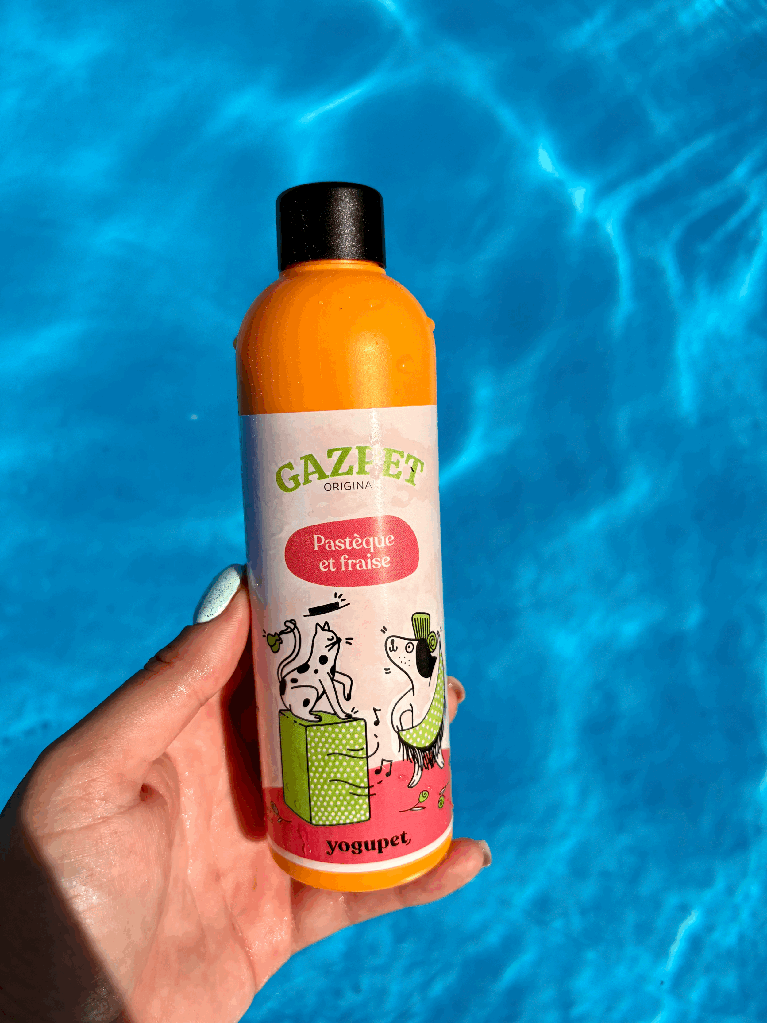 Gazpet - chien & chat - Yogupet