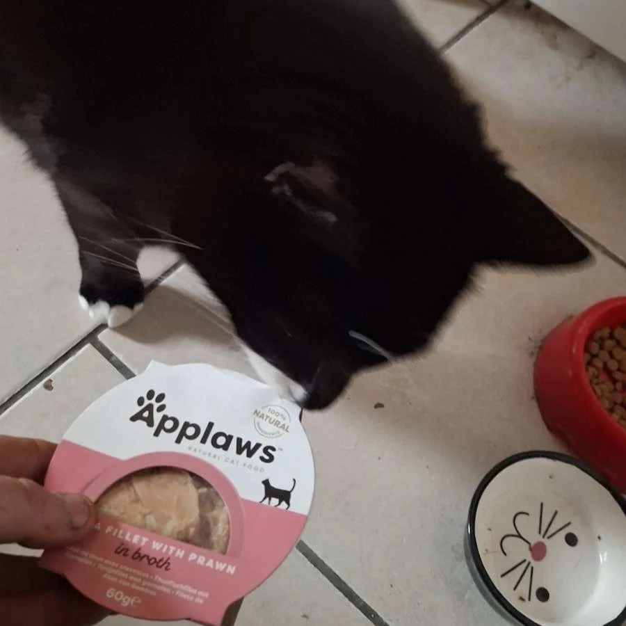 Un chat noir qui sent un sachet de nourriture pour chat Applaws au poulet avec crevette, sur un sol en carreaux, avec un bol rouge rempli de croquettes et une assiette avec un dessin de chat mignon.