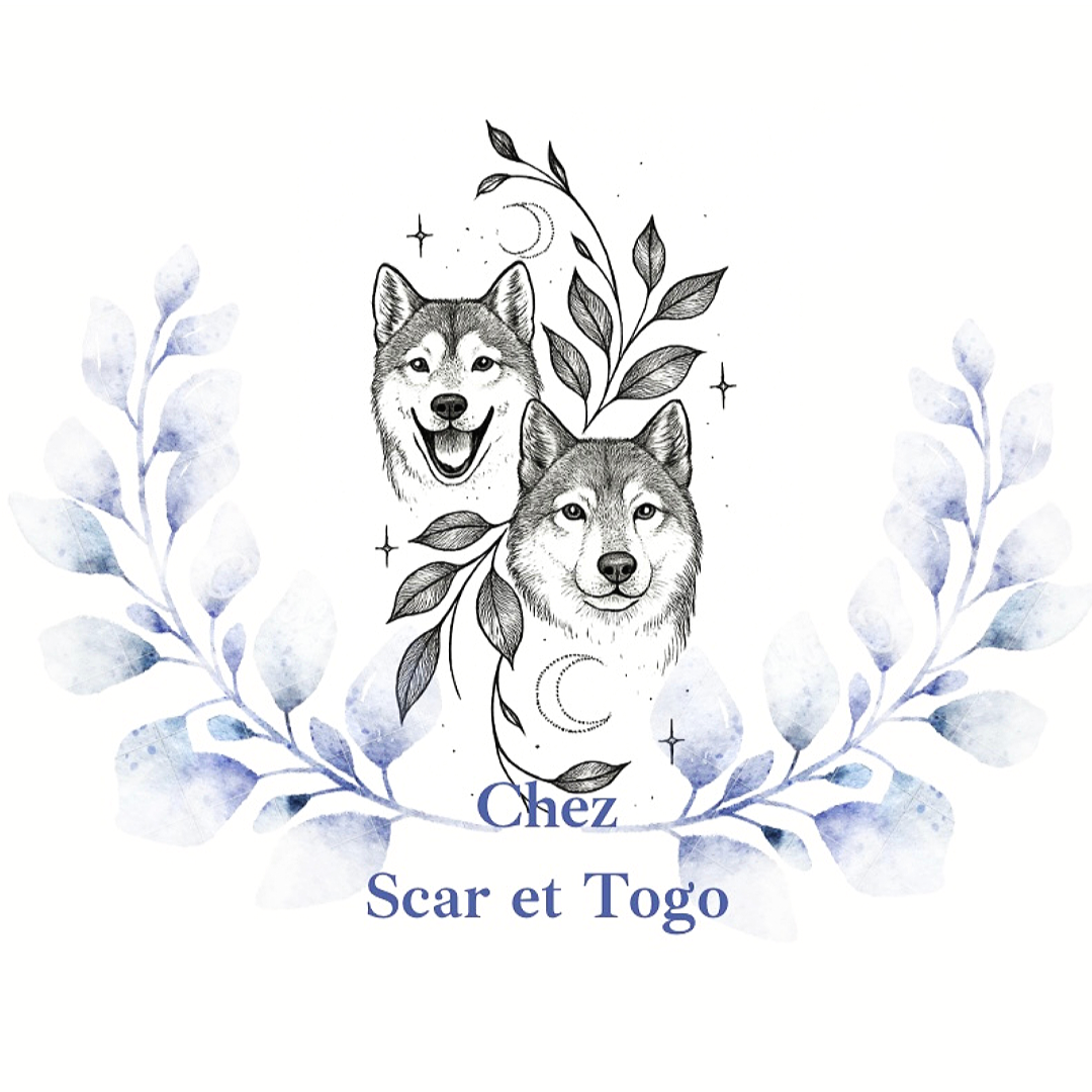 Chez Scar et Togo