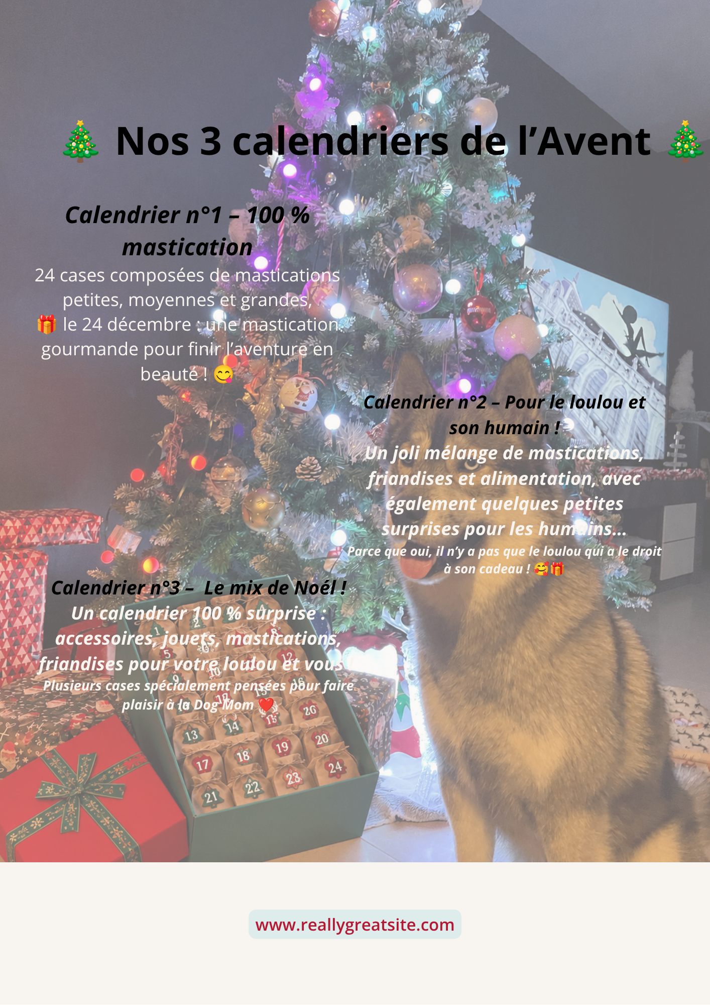 Calendrier de L'avent dog