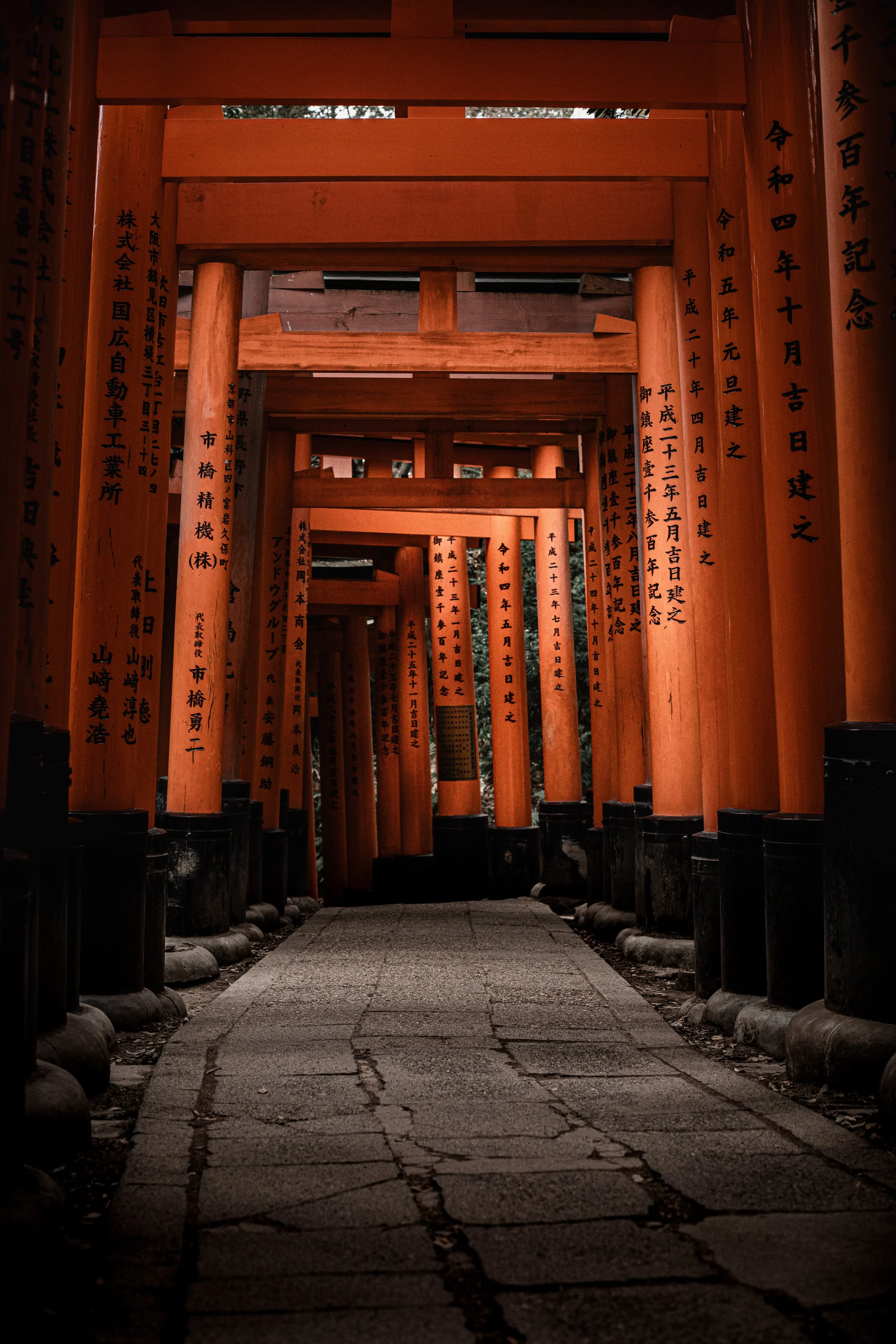 A pathway through a series of red torii gates with wooden plaques with Japanese inscriptions hanging from the gates.