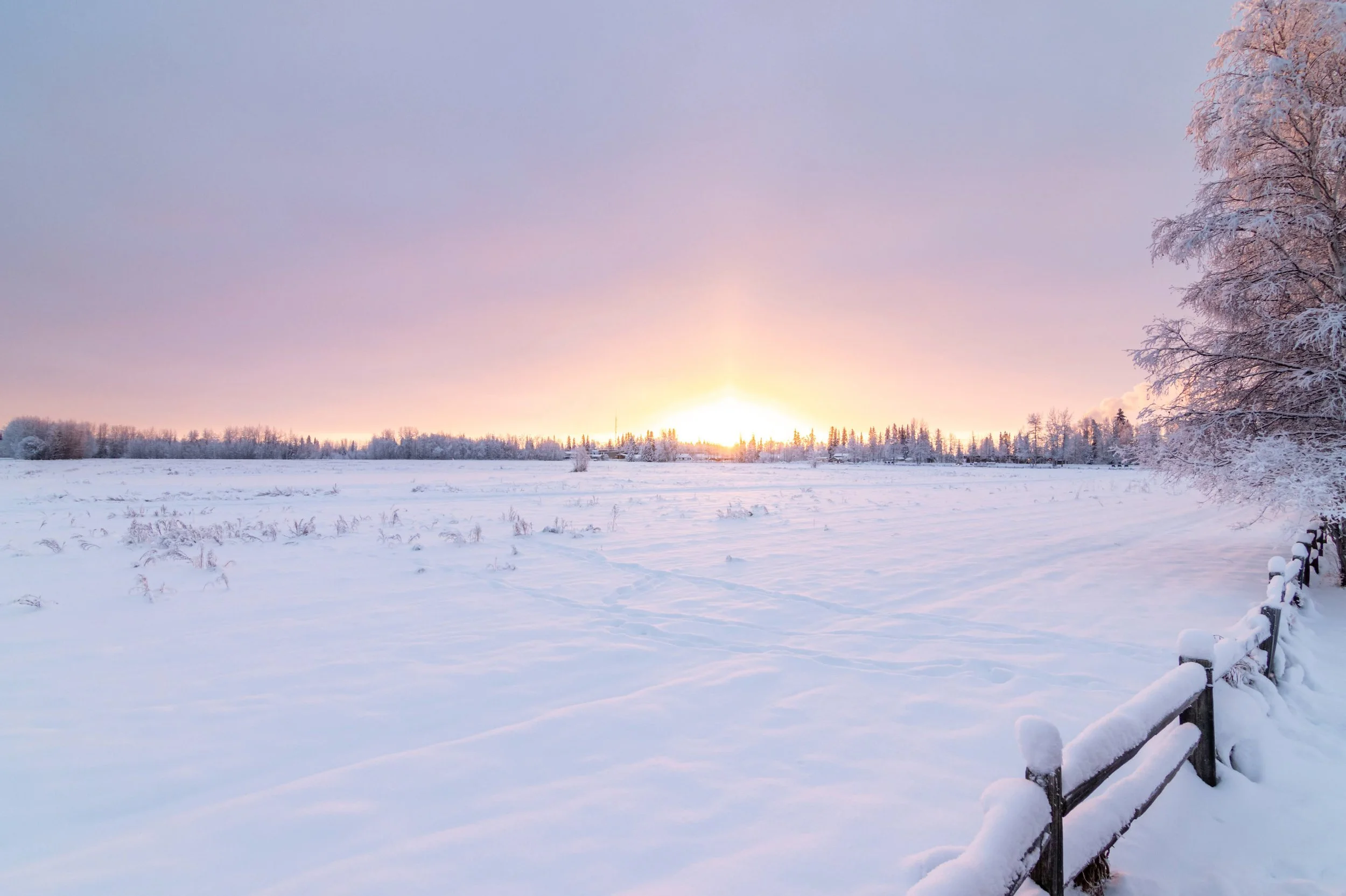 Snow-covered field with a line of trees in the distance, and the sun setting or rising on the horizon, with a snow-covered fence on the right side.