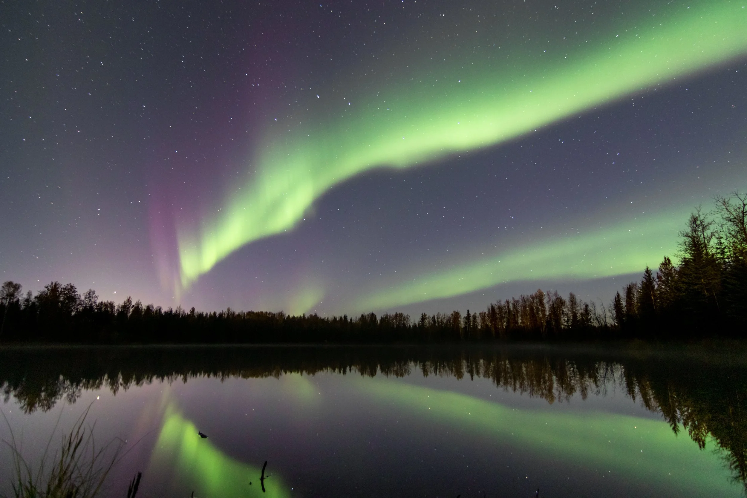 Nighttime scene of the Northern Lights in green and purple hues over a lake, with reflections in the water and a treeline in the background.