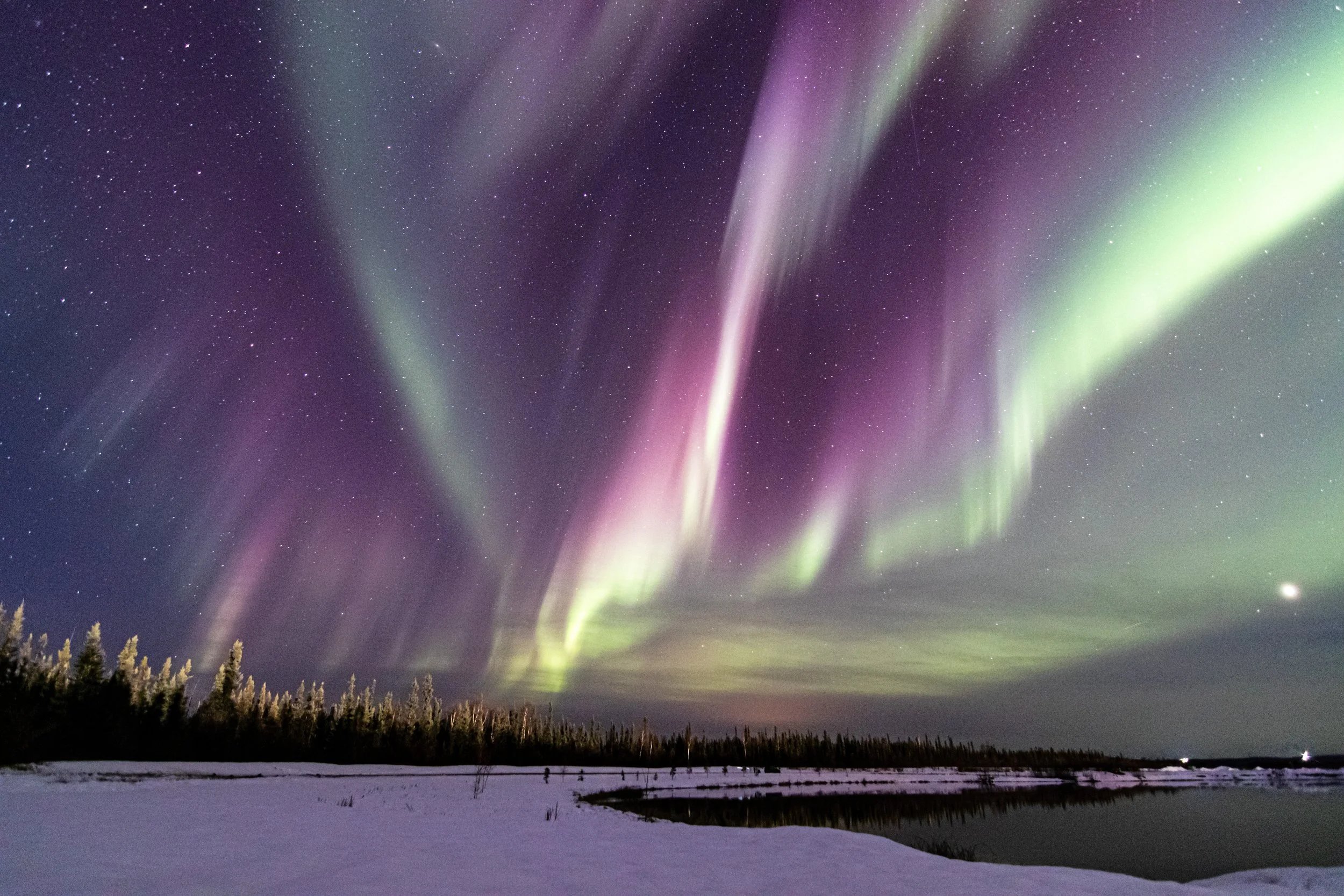Northern lights over a snowy landscape with trees and lake.