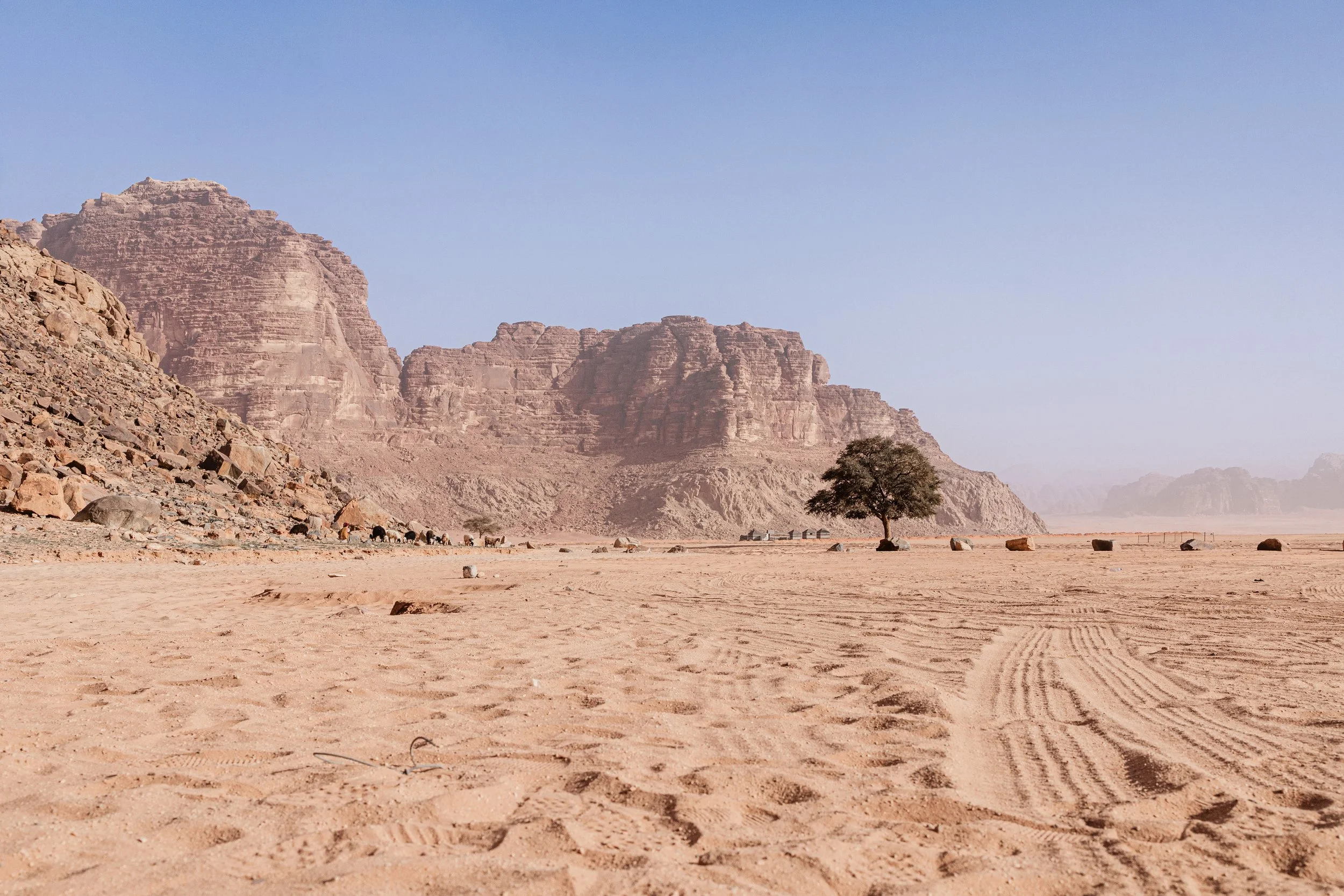 Desert landscape with sandy ground, a single tree, and rocky mountains in the background under a clear blue sky.