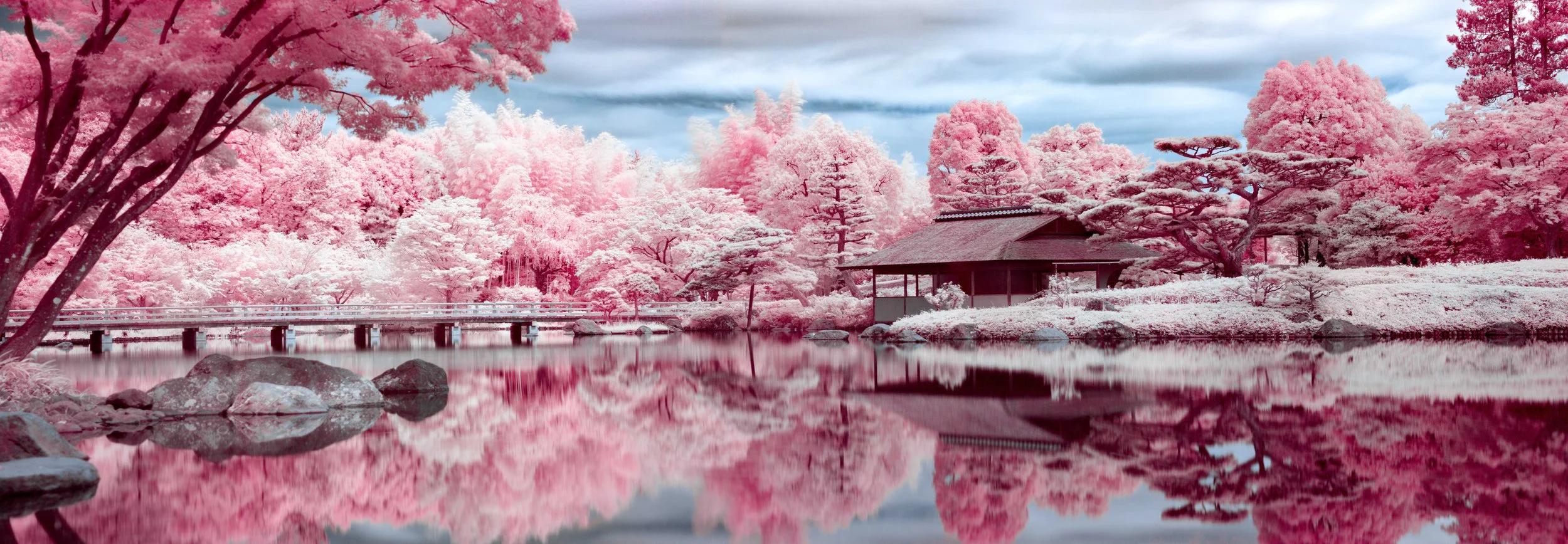 A serene landscape of pink-colored trees and shrubs surrounding a pond with rocks. A traditional Japanese-style wooden pavilion is situated near the water, with a bridge extending across the pond. The sky is overcast with gray clouds, reflecting in t