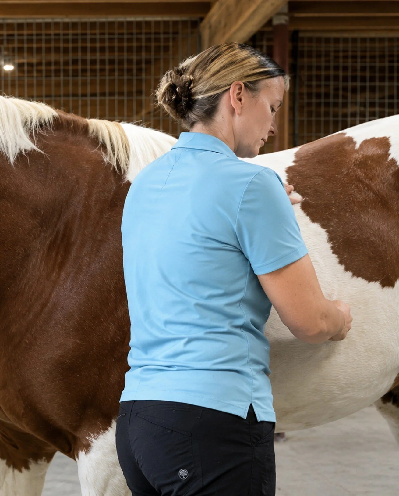 Barn Days Bodywork Session