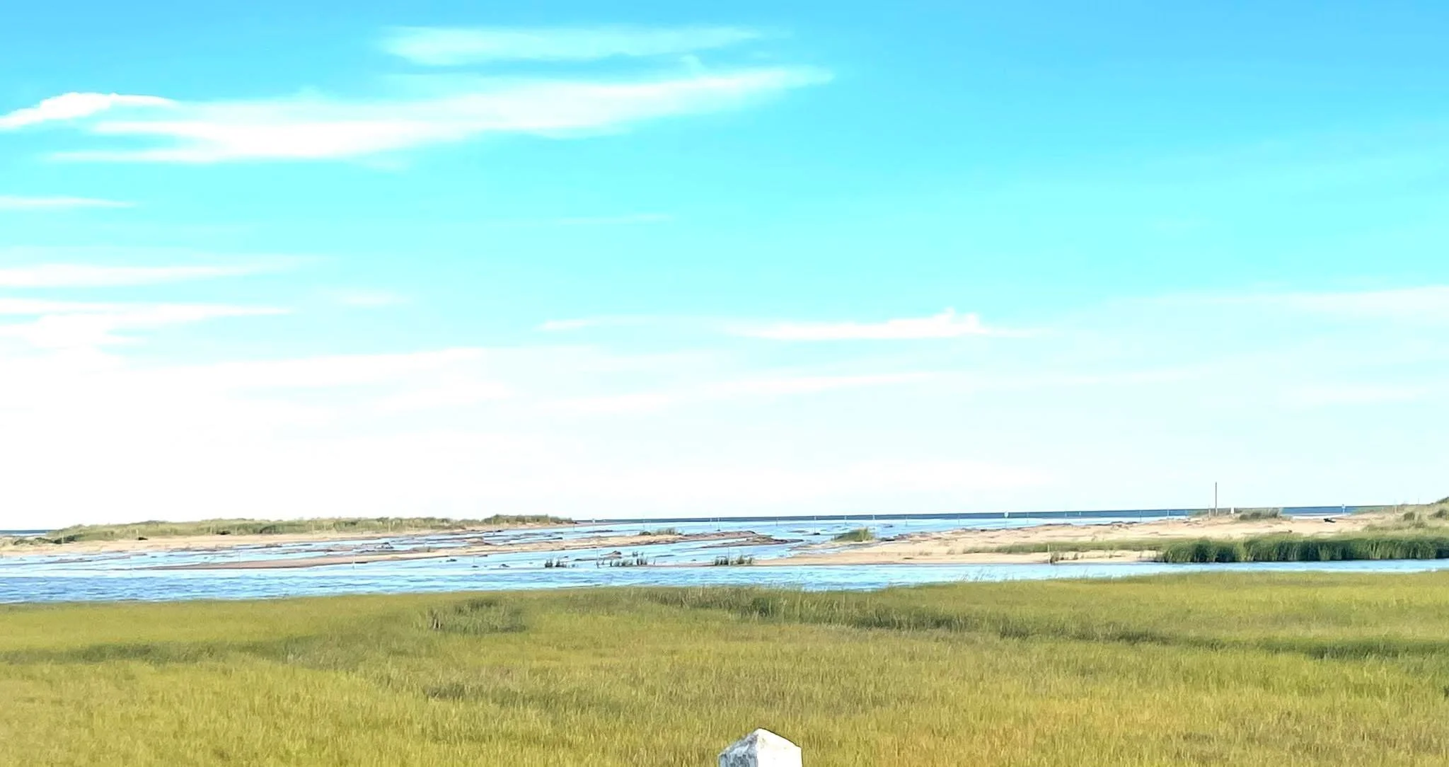 Martha's Vineyard Shore