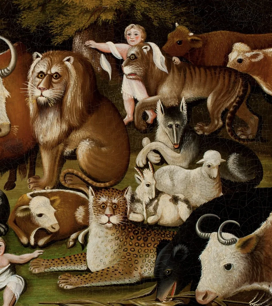 Hot Pizza Studio - Animalia.jpg